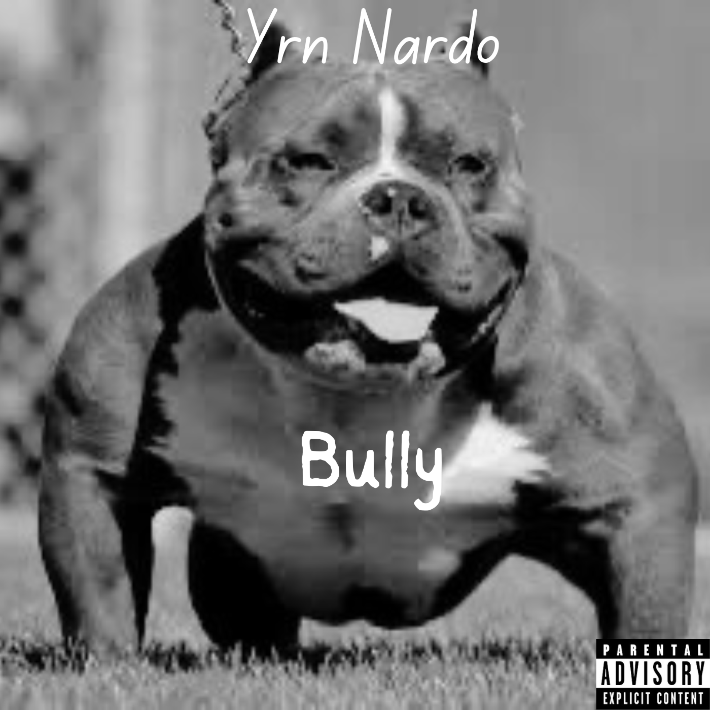 Bully artwork