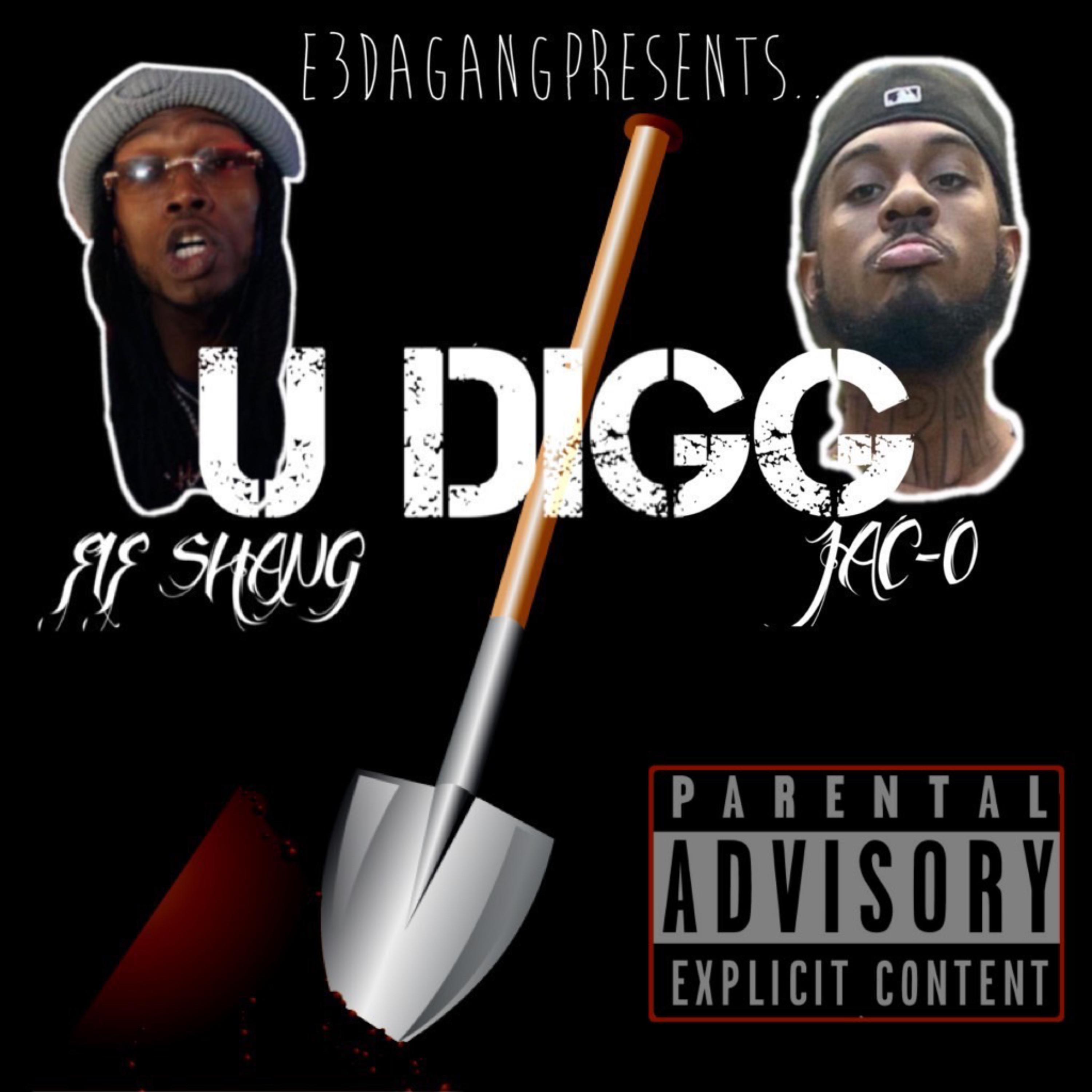 U DIGG artwork