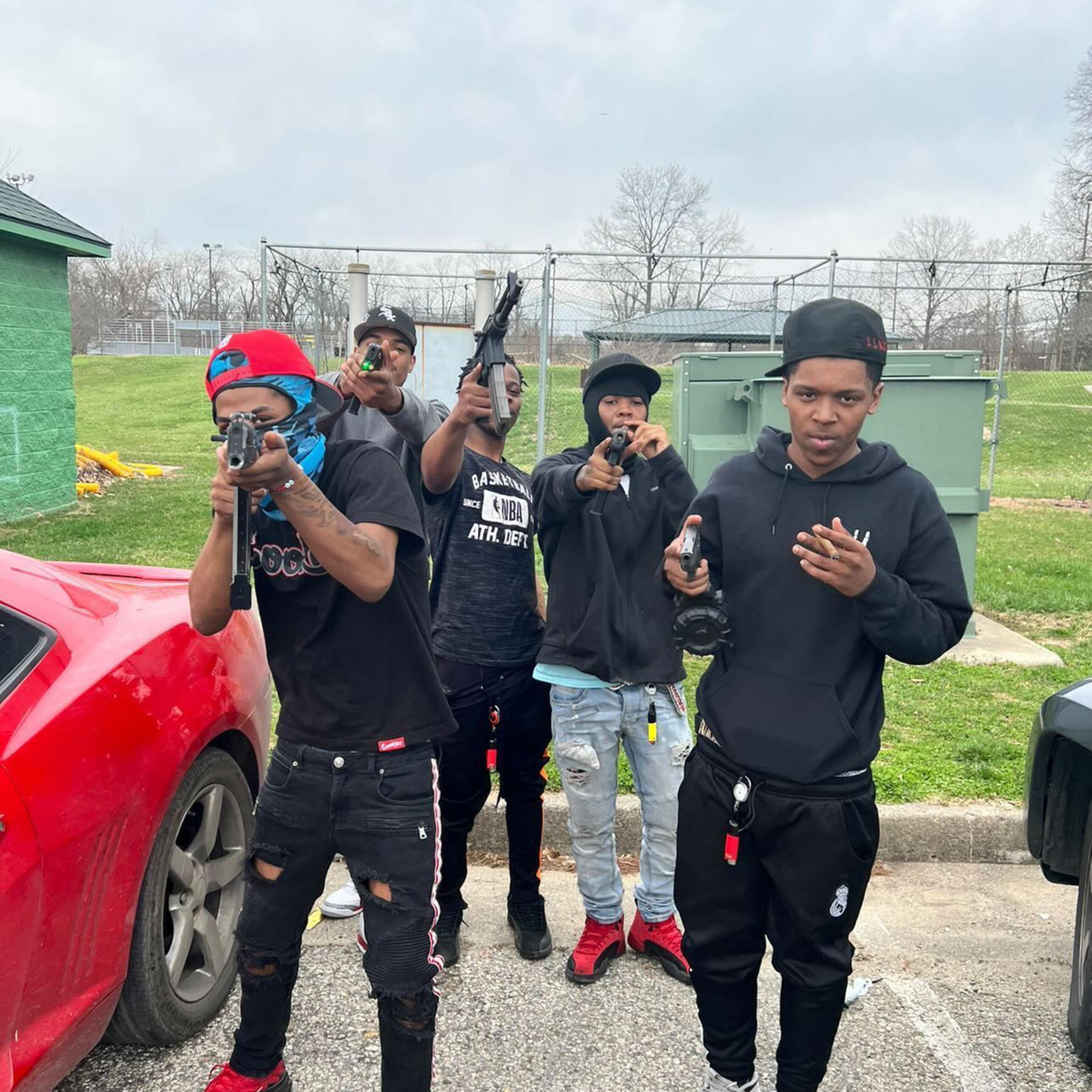 Projec Elise artwork