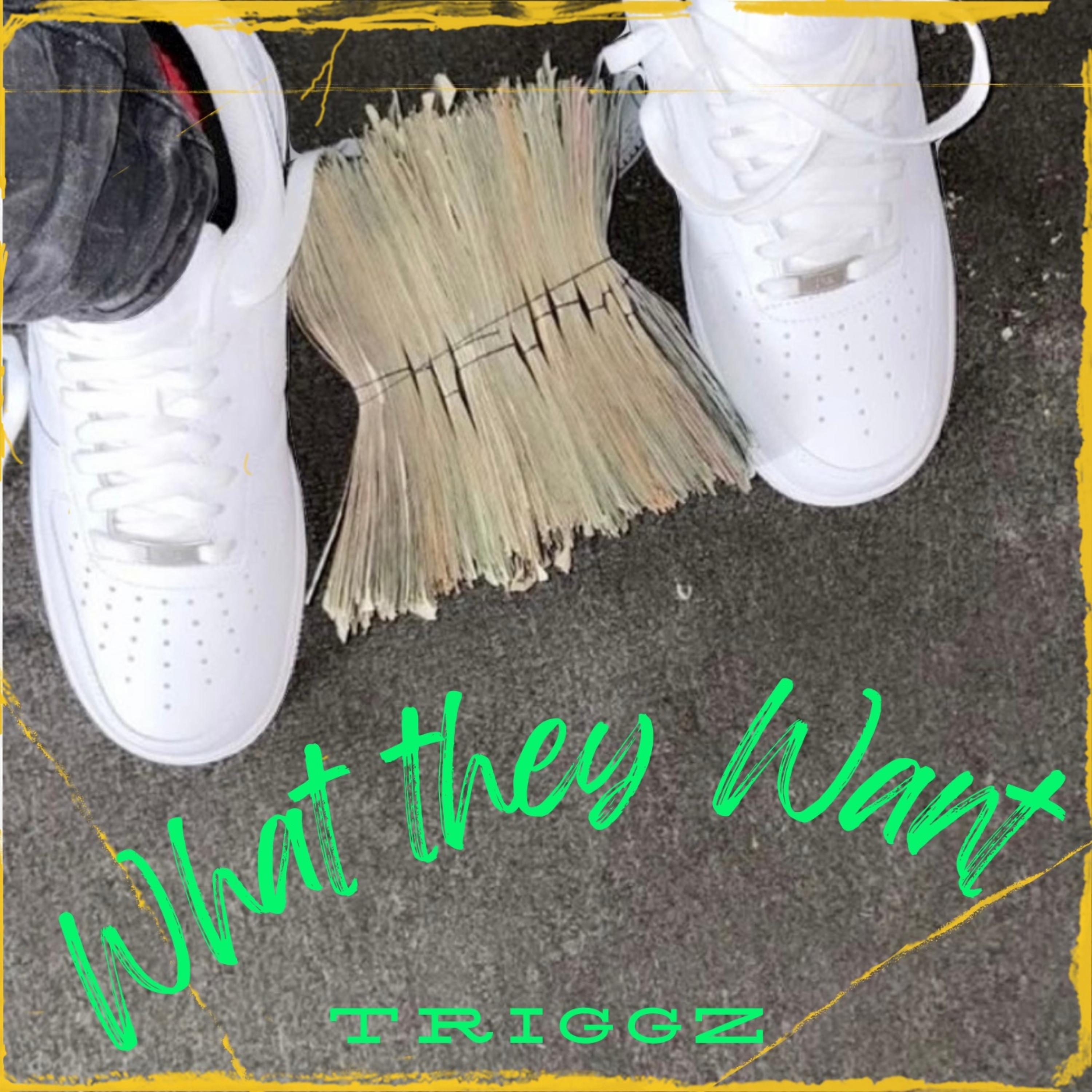 What They Want by Triggz cover art