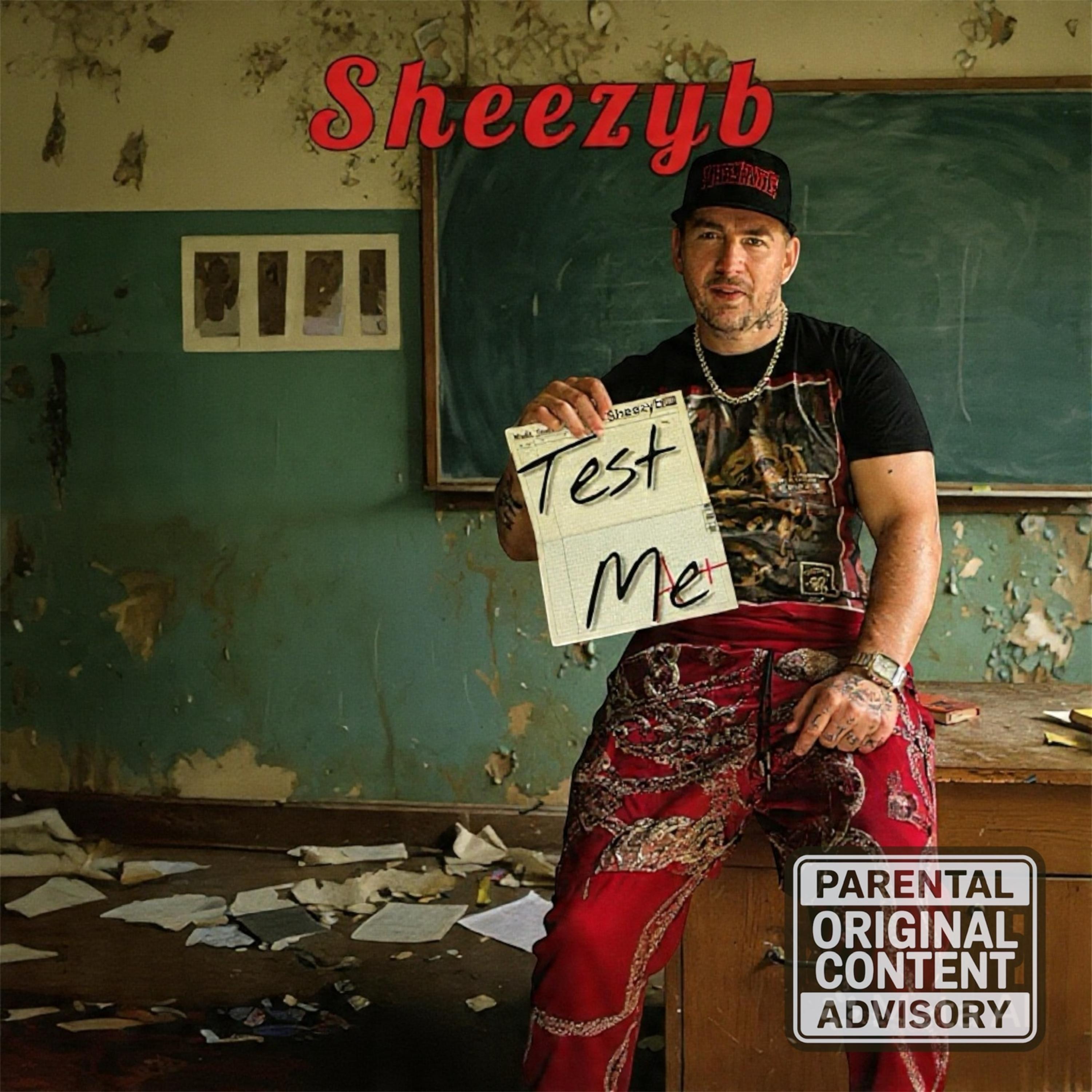 Test Me by Sheezyb cover art