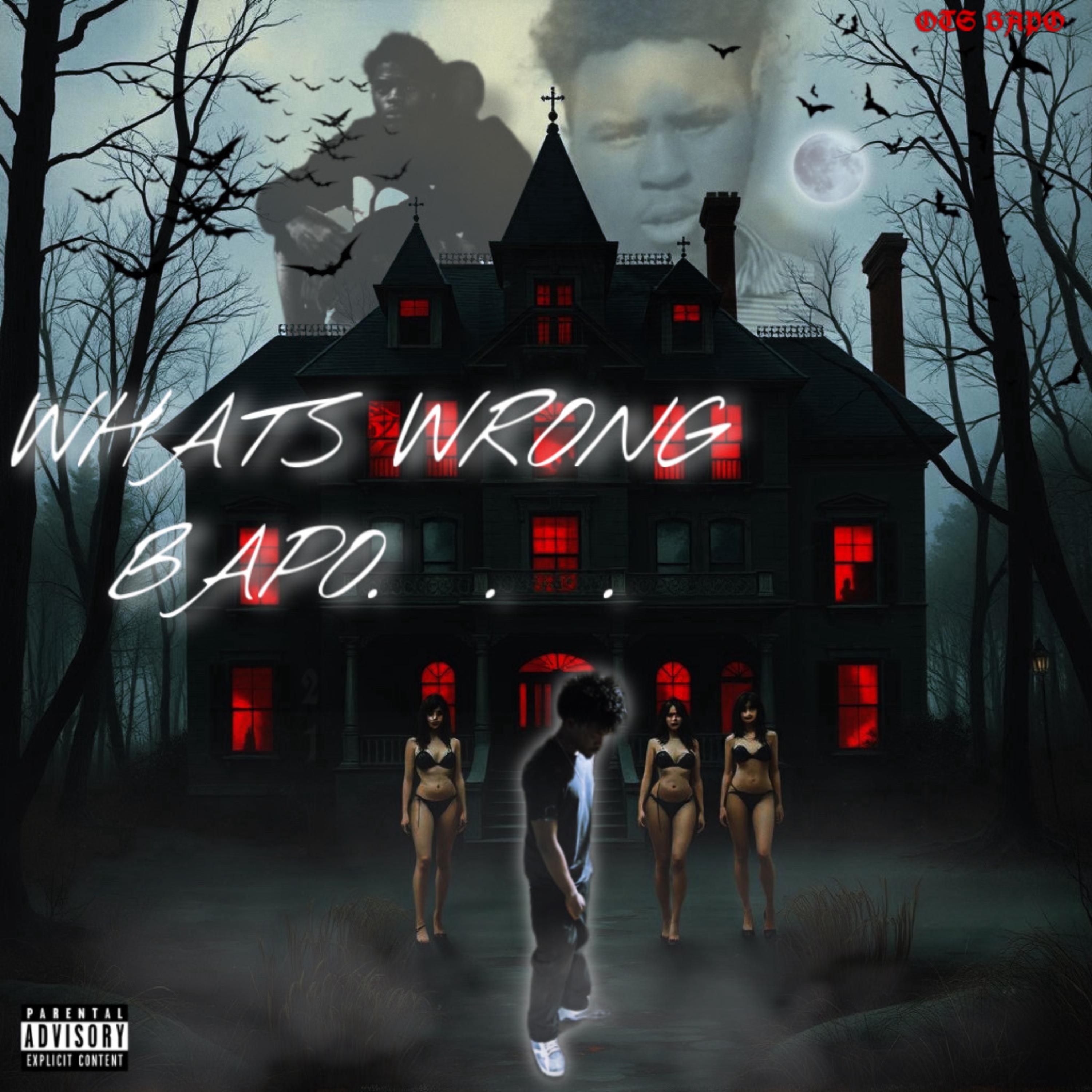 WHATS WRONG BAPO artwork