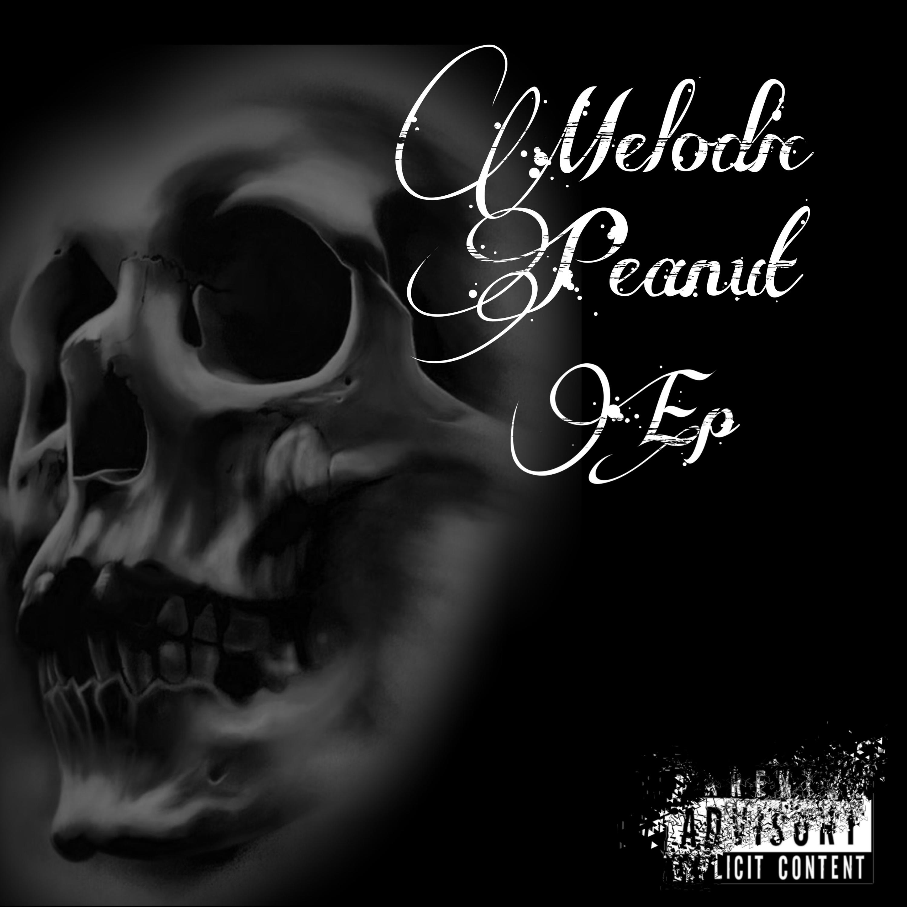 Melodic Peanut artwork