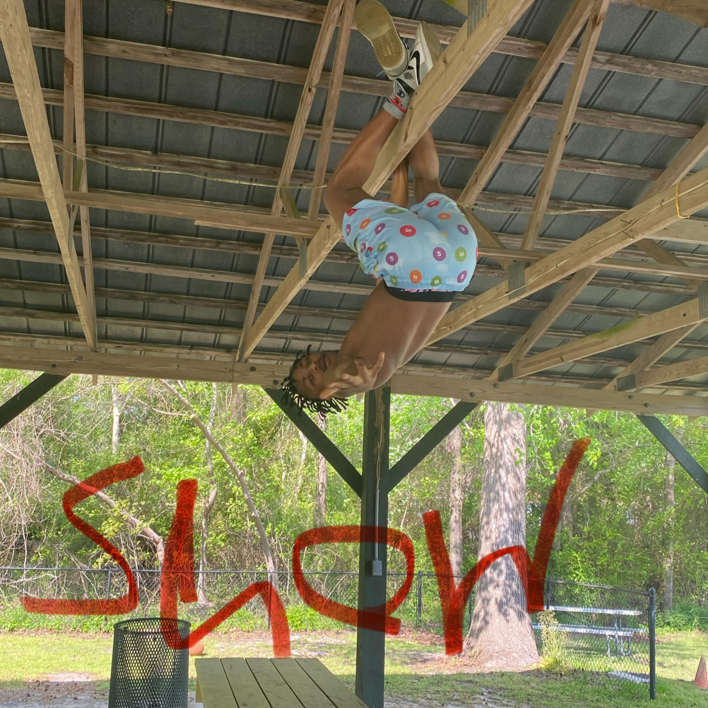 Show artwork