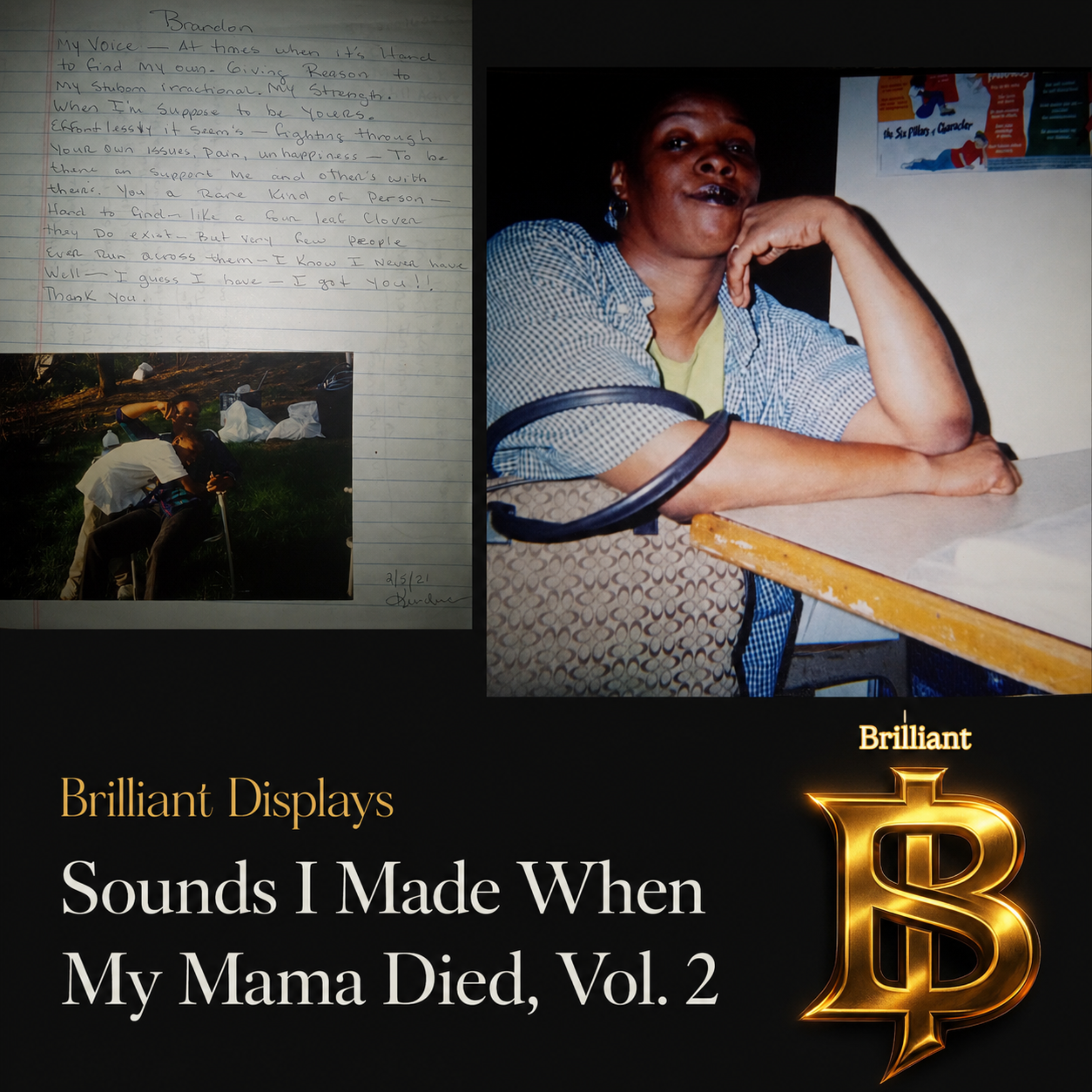 Sounds I Made When My Mama Died Volume 2 by Brilliant Displays cover art