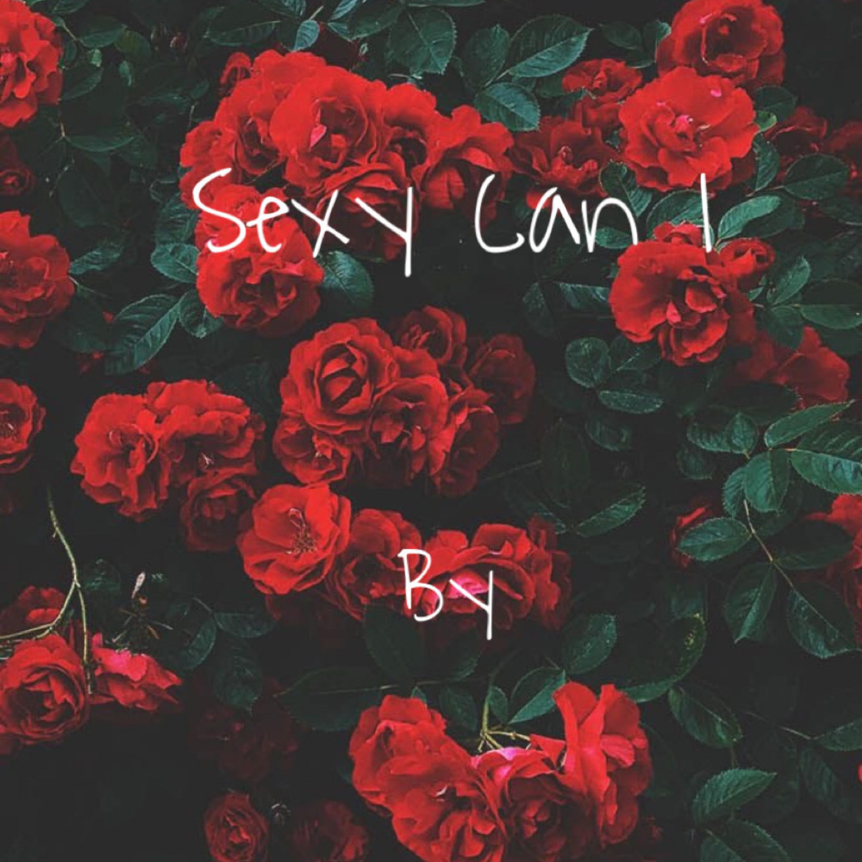 Sexy Can I artwork