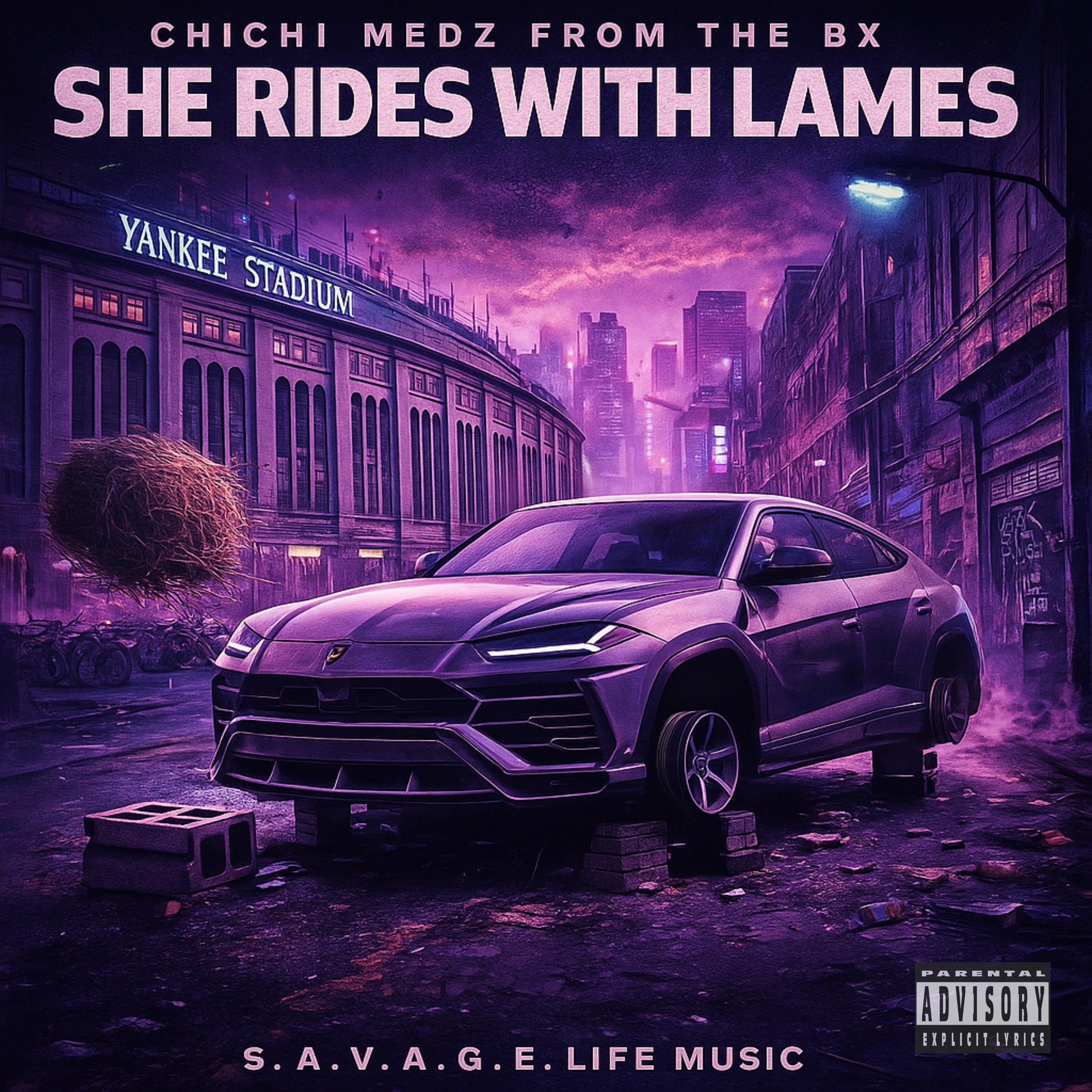 She Rides With Lames artwork