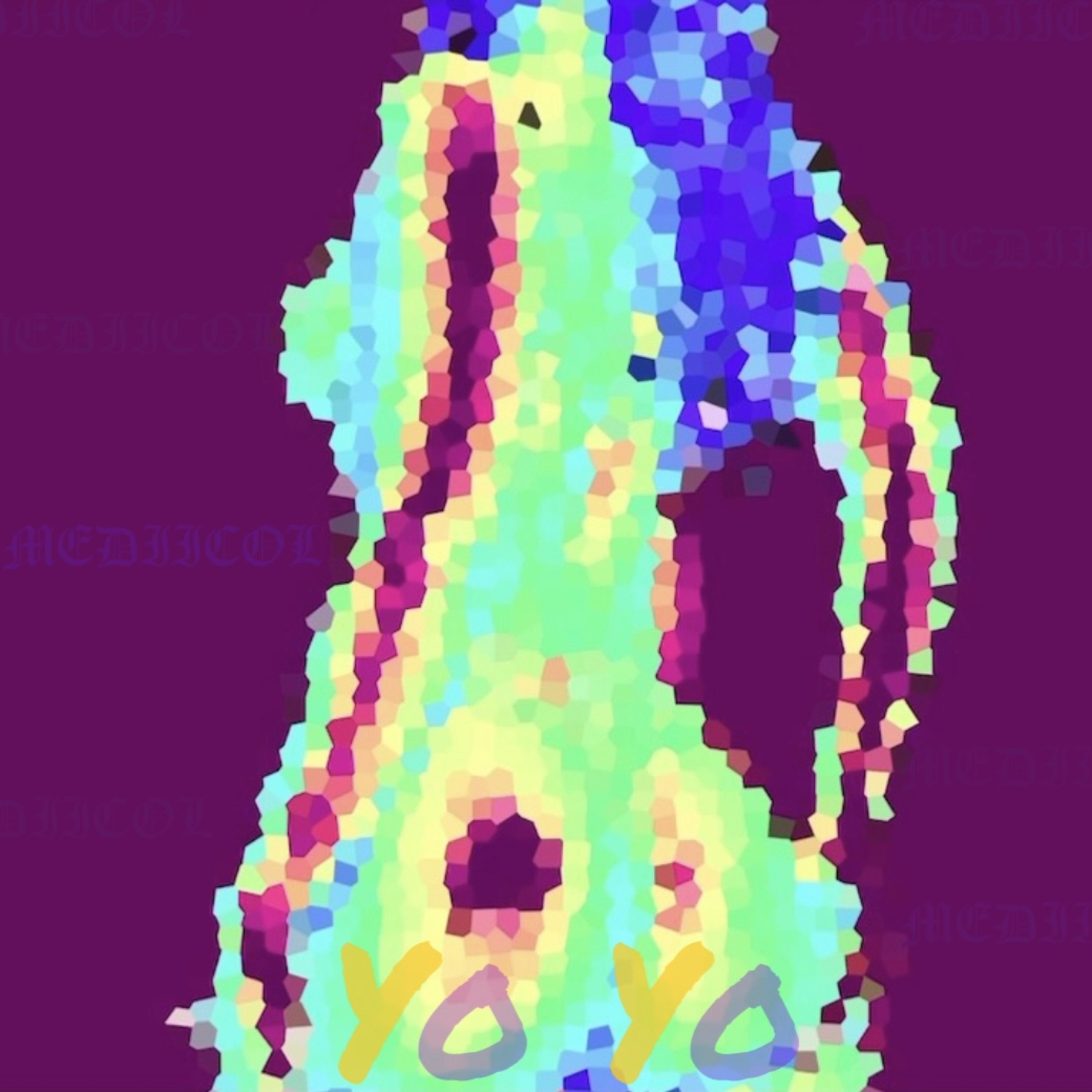 YOYO artwork