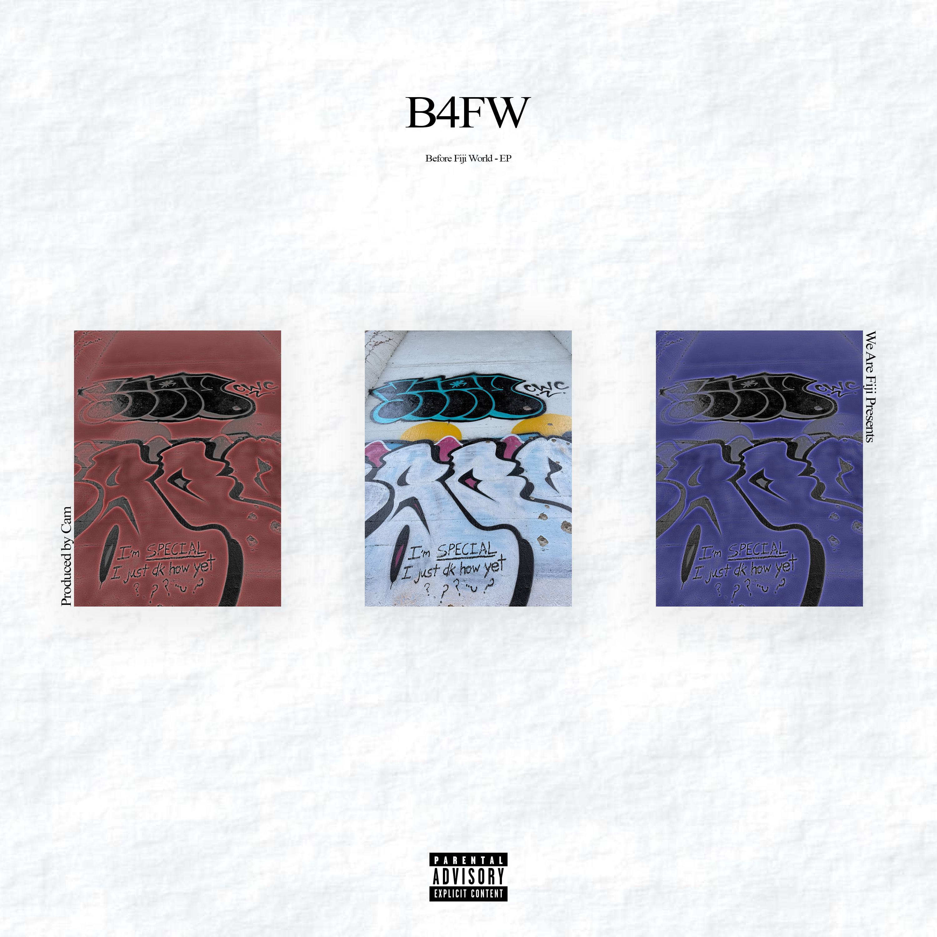 B4FW by We Are Fiji cover art