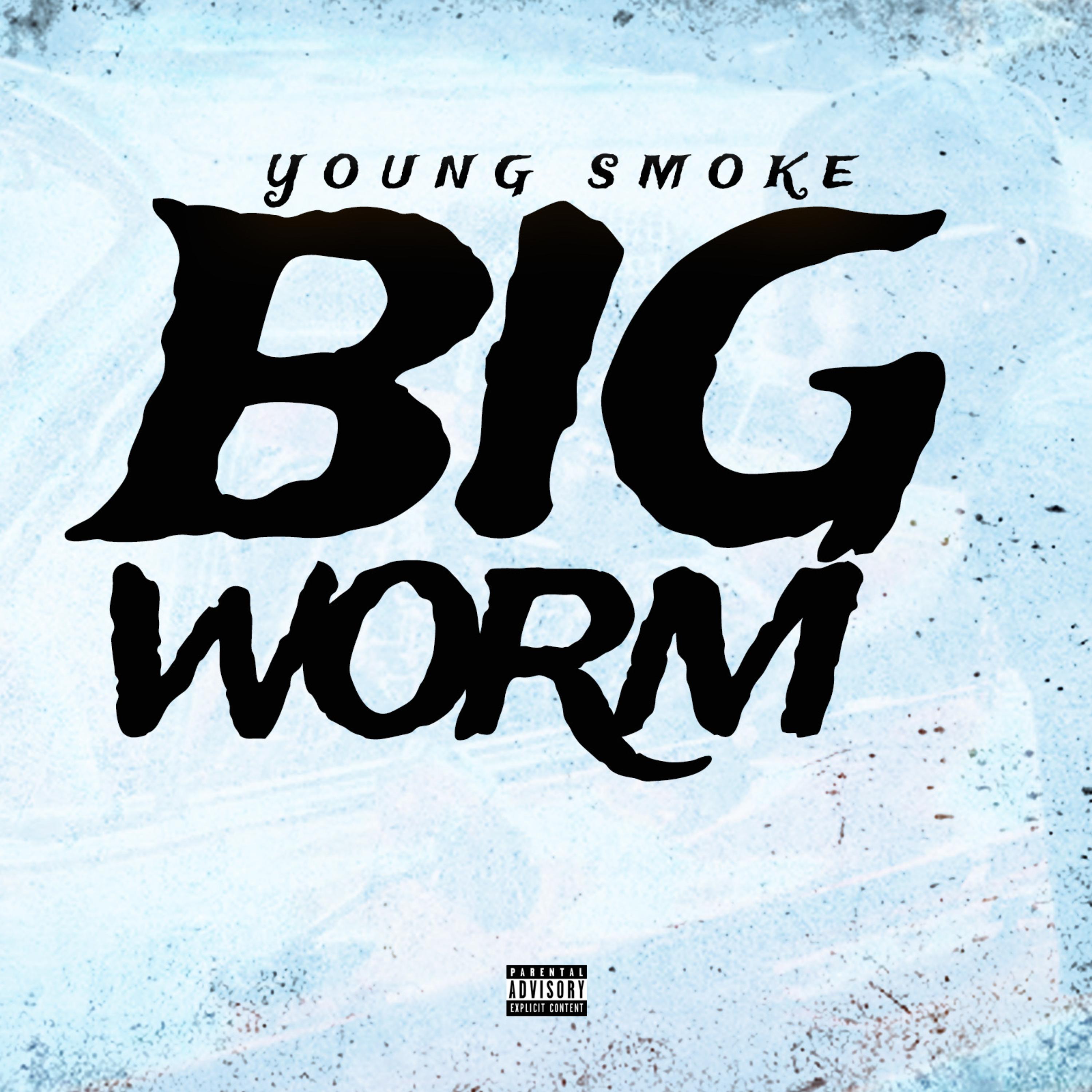 BIG WORM artwork
