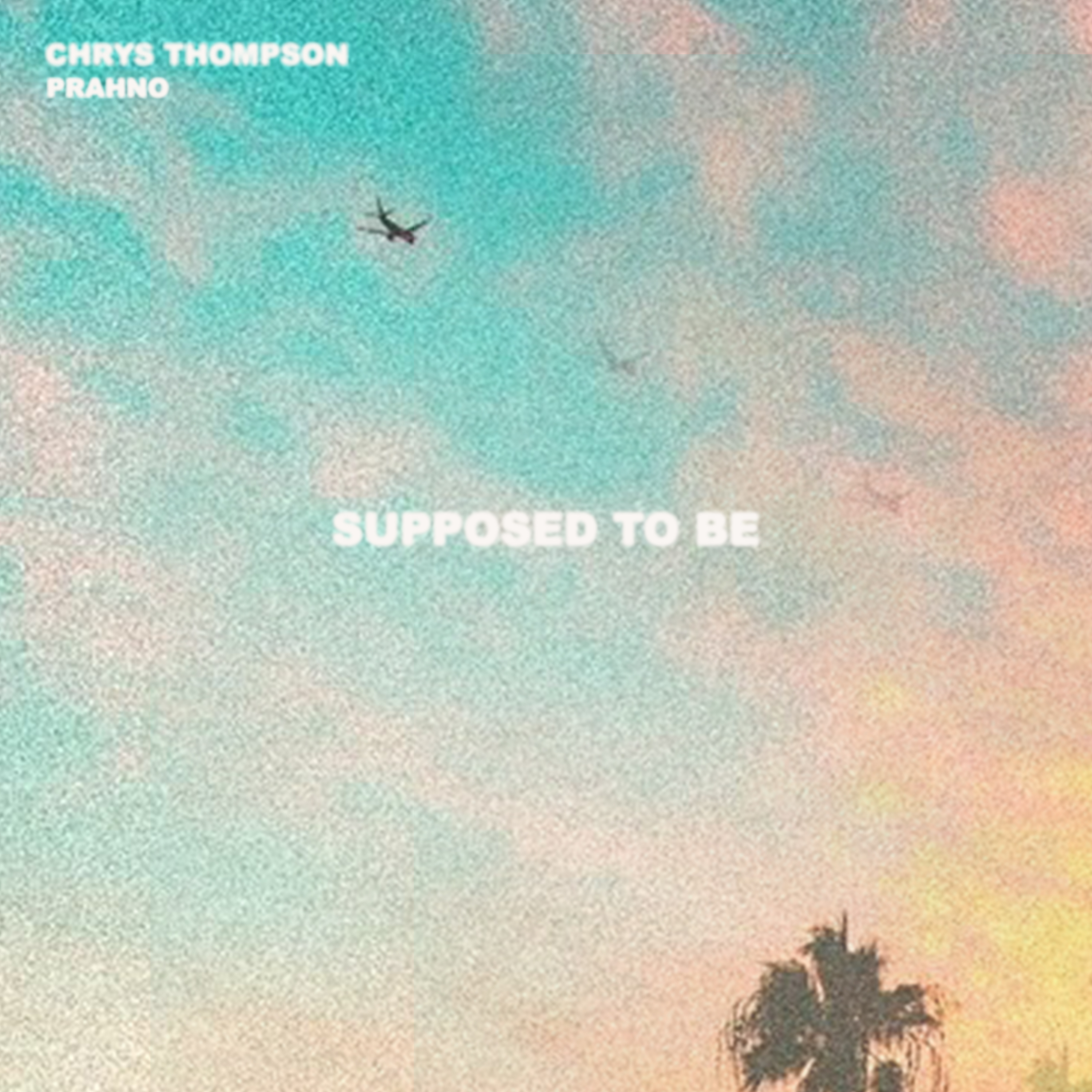 Supposed To Be artwork