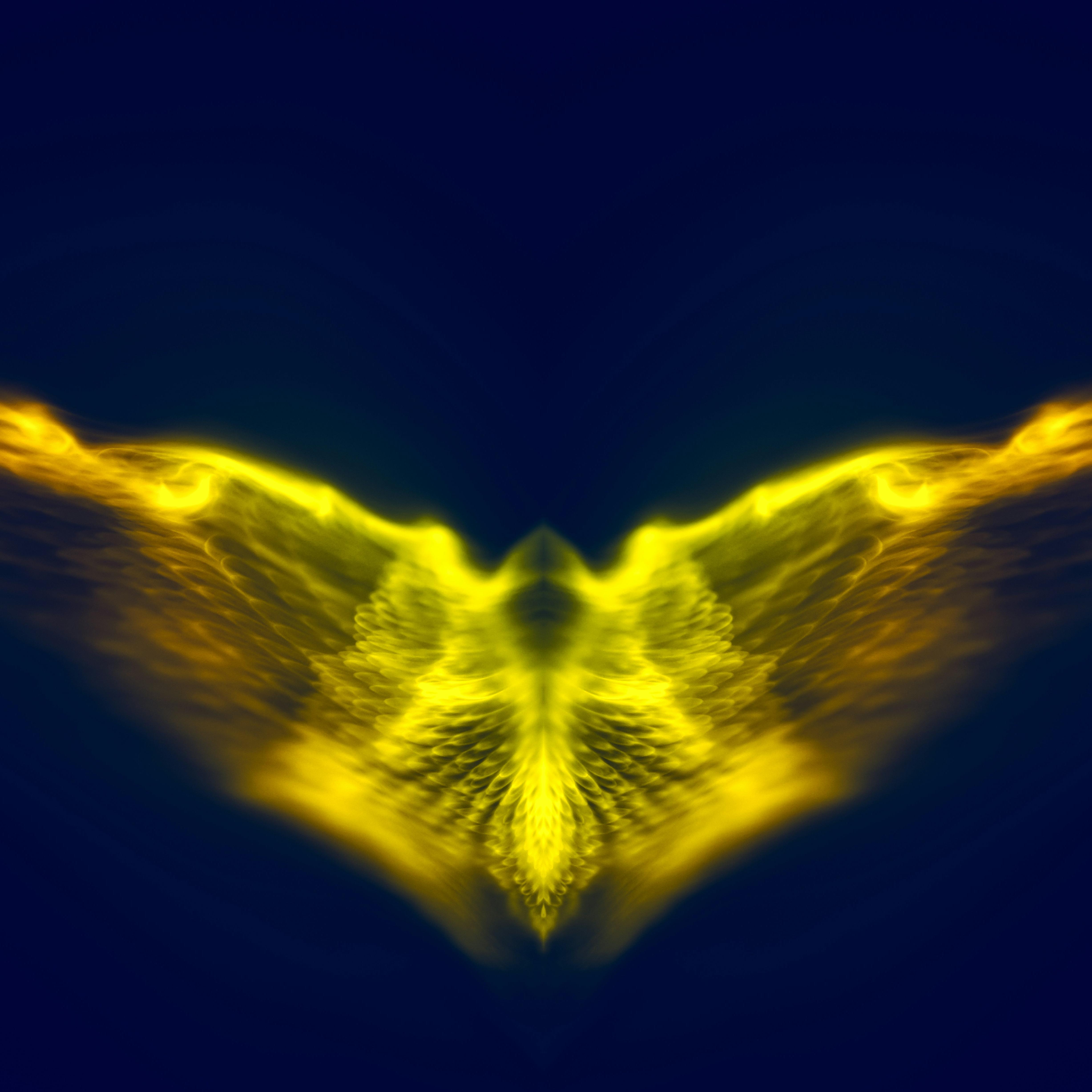 Believe in the Phoenix artwork