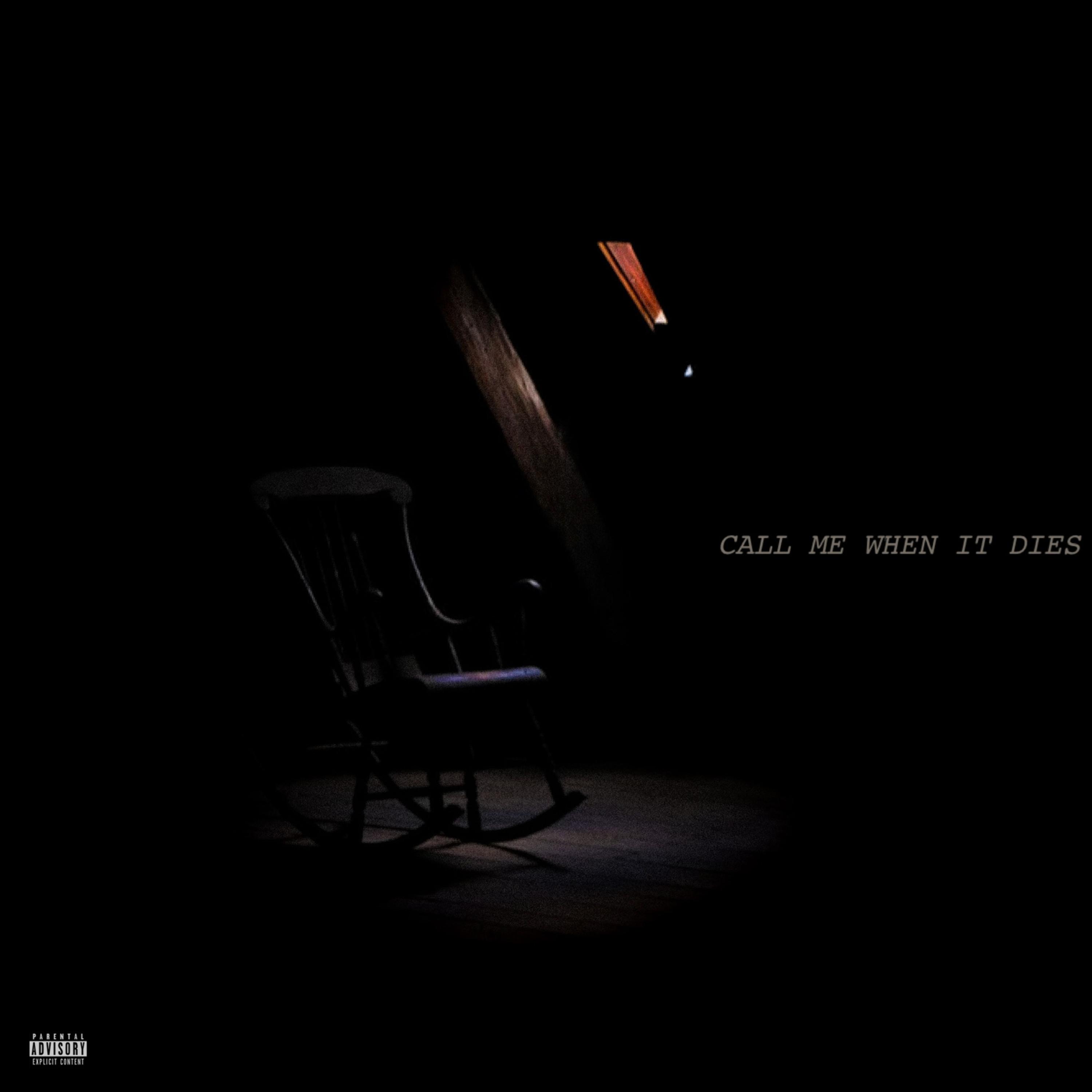 CALL ME WHEN IT DIES artwork