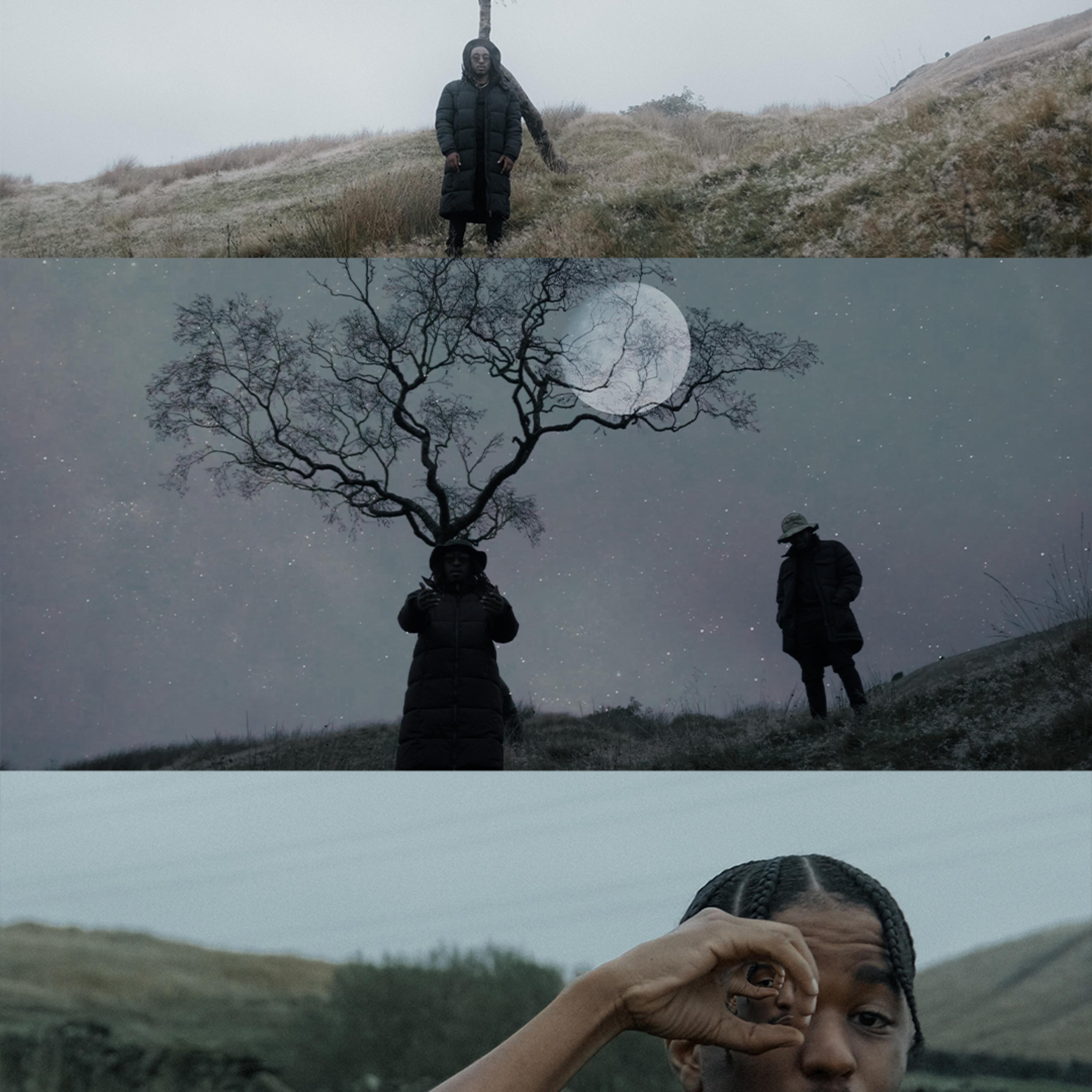 Mcheka Dzafa artwork