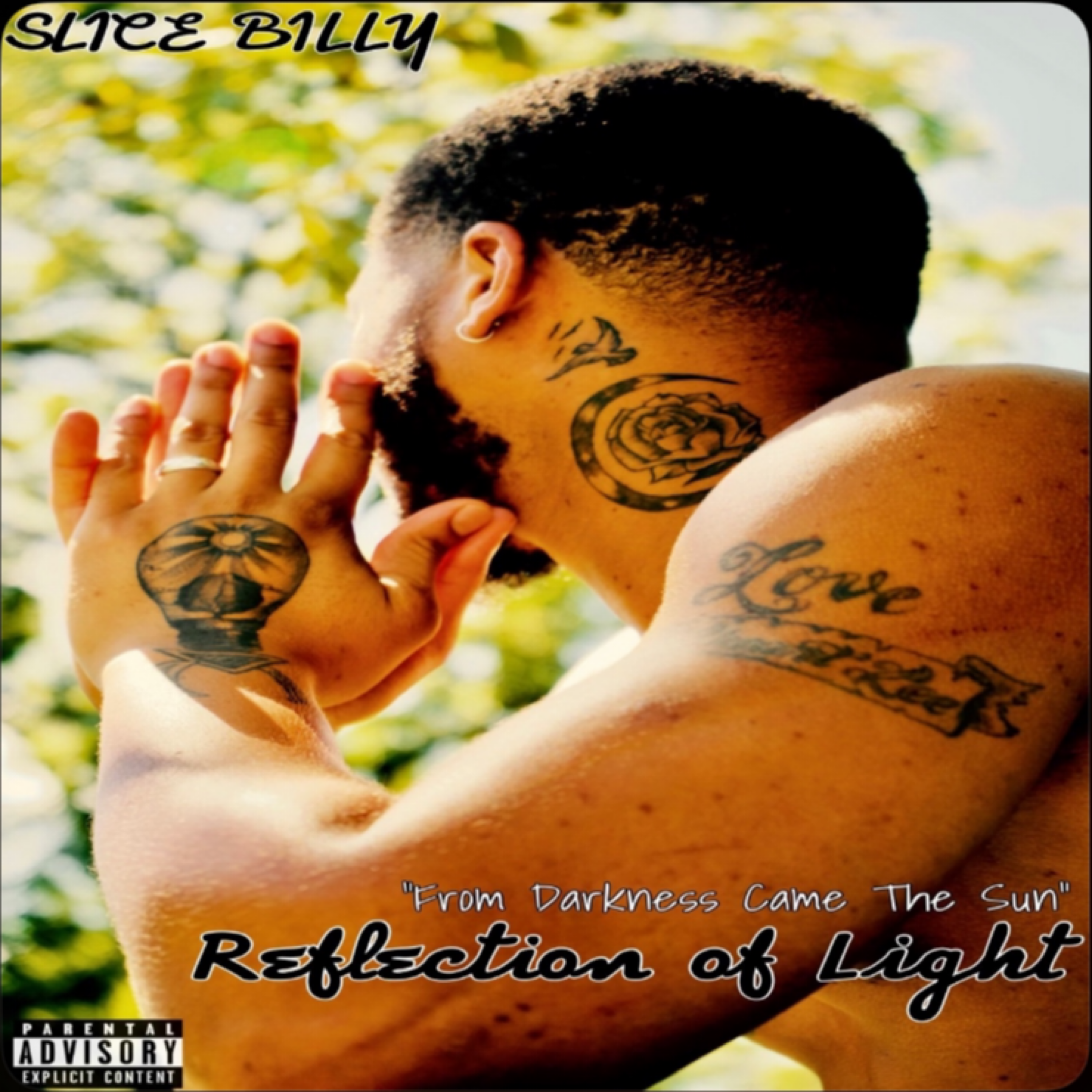 Reflection Of Light artwork