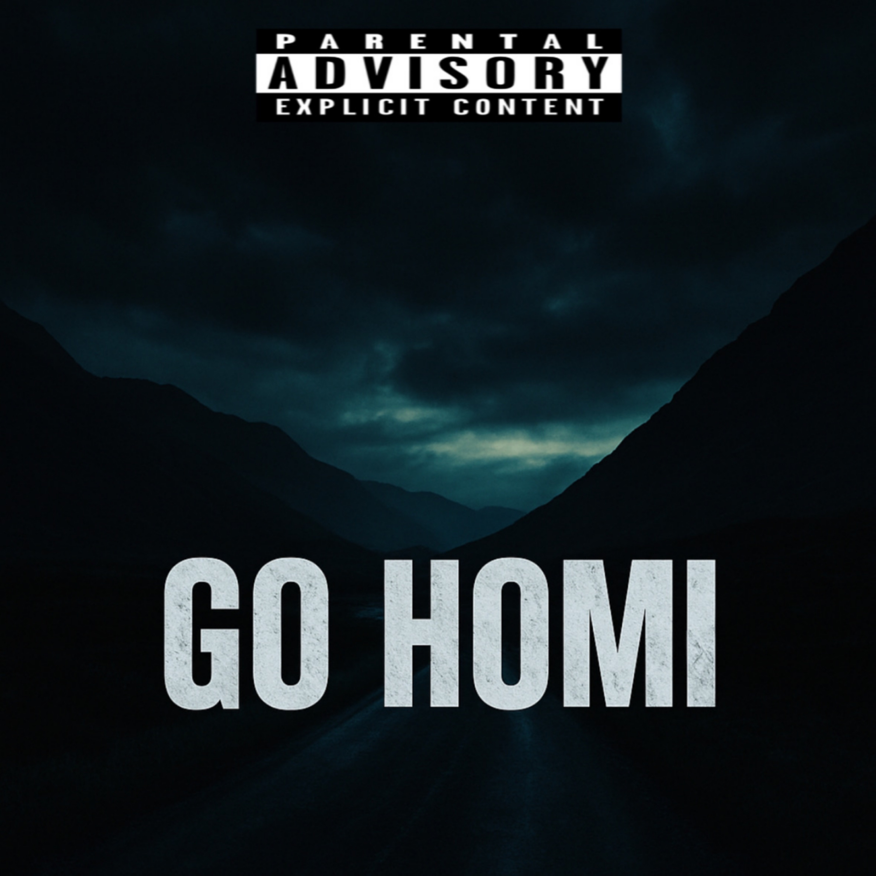 GO HOMI artwork