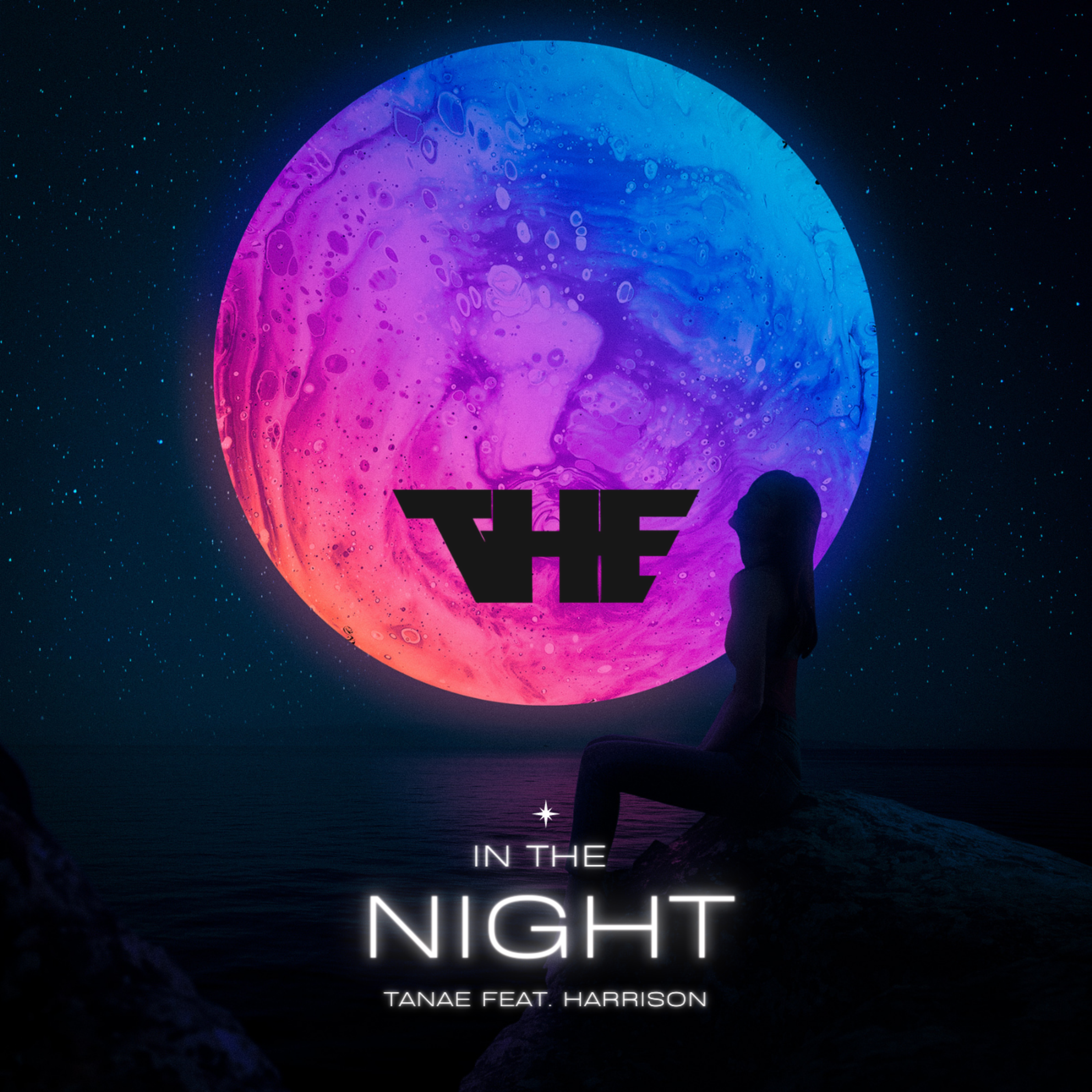 In The Night artwork
