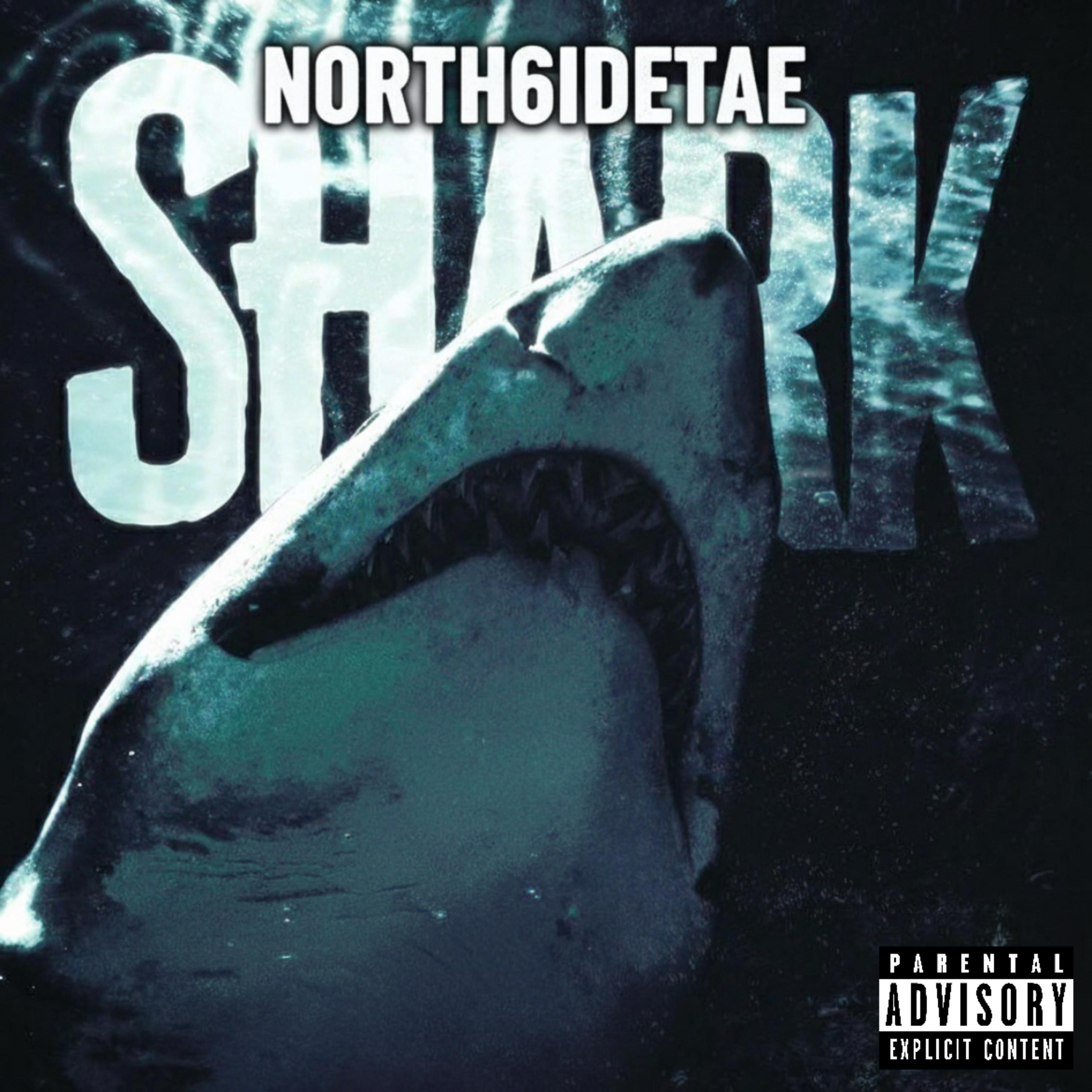 Shark artwork