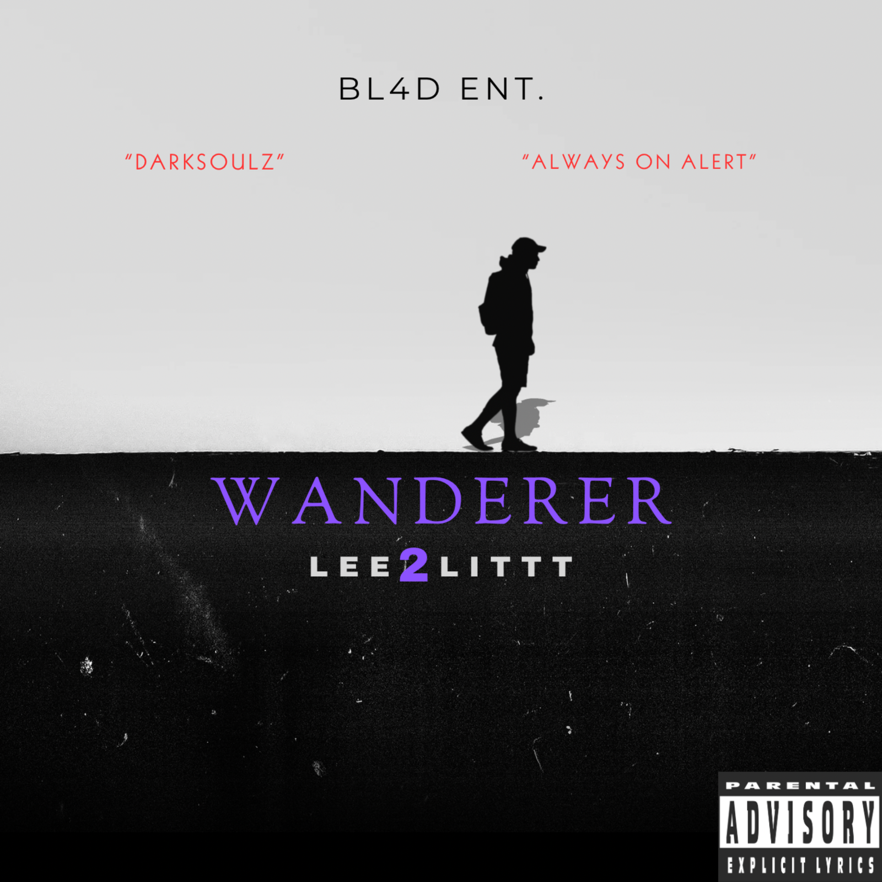 WANDERER artwork