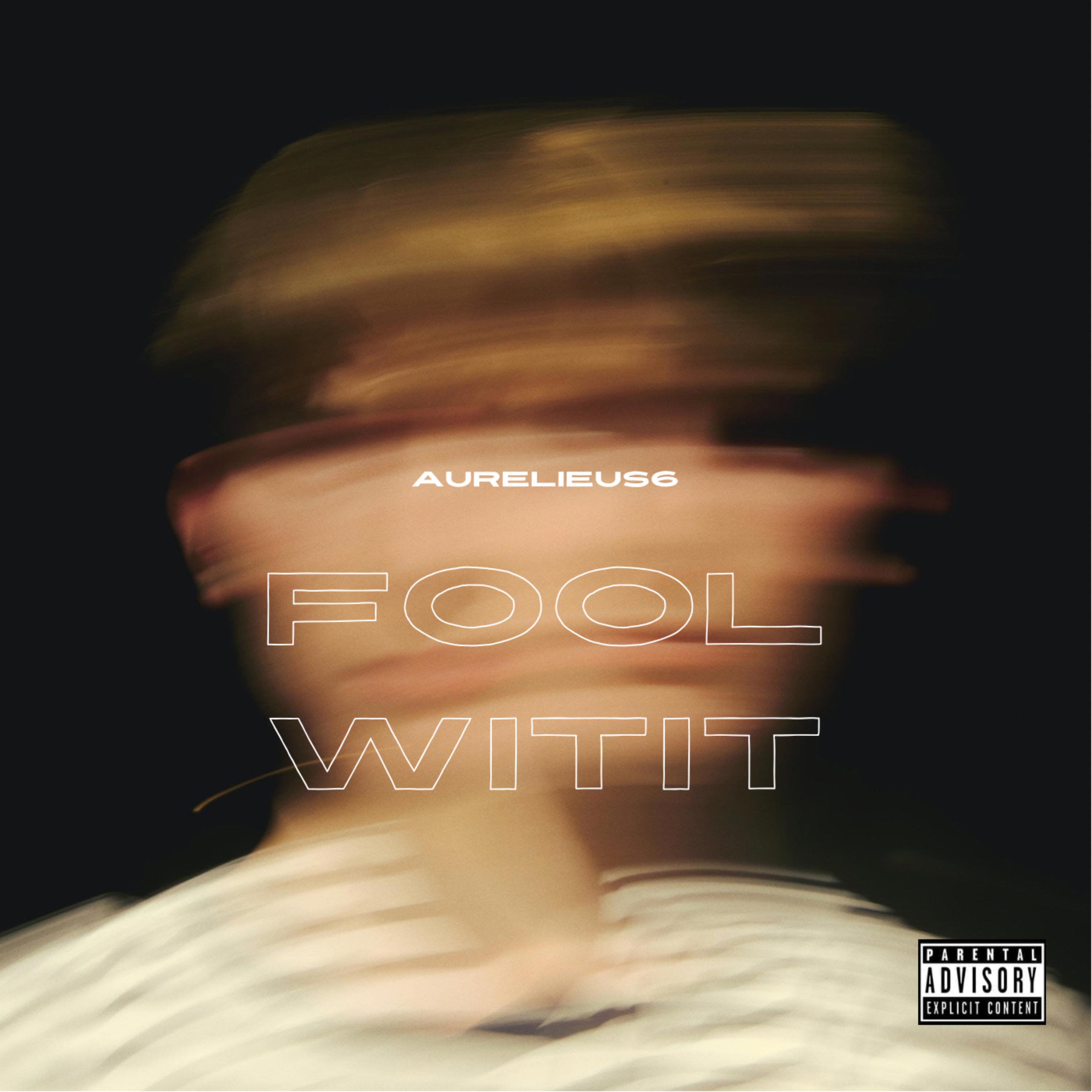 Fool Wit It artwork