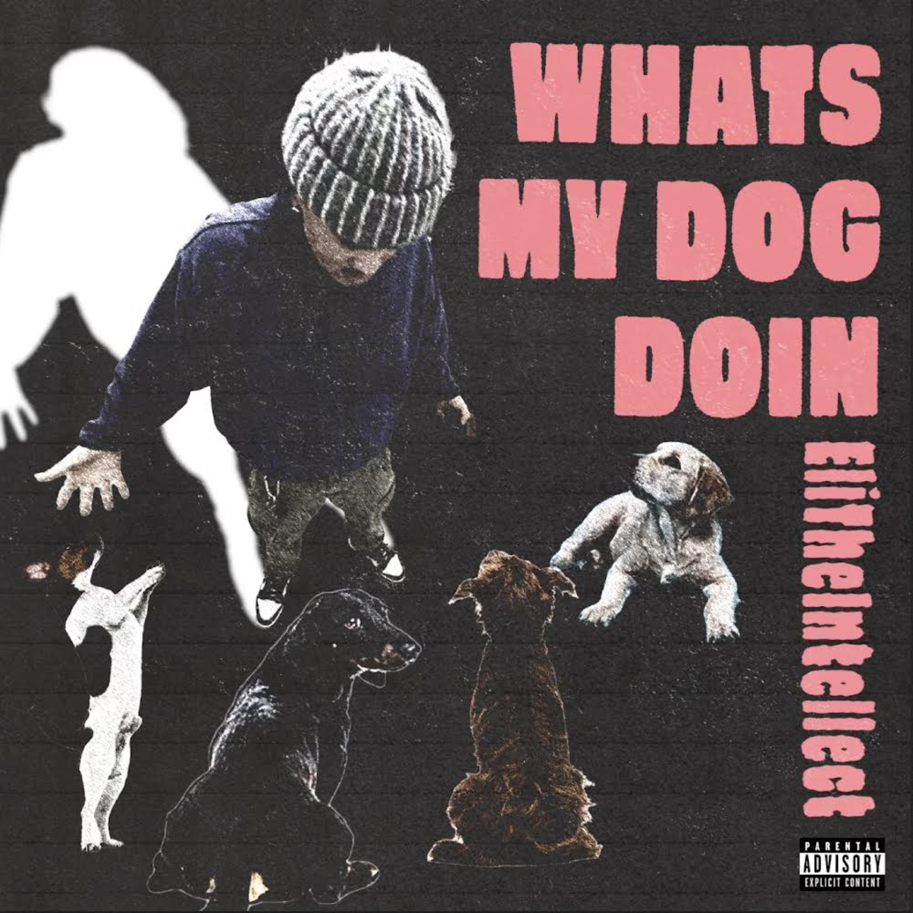 What’s My Dog Doin artwork