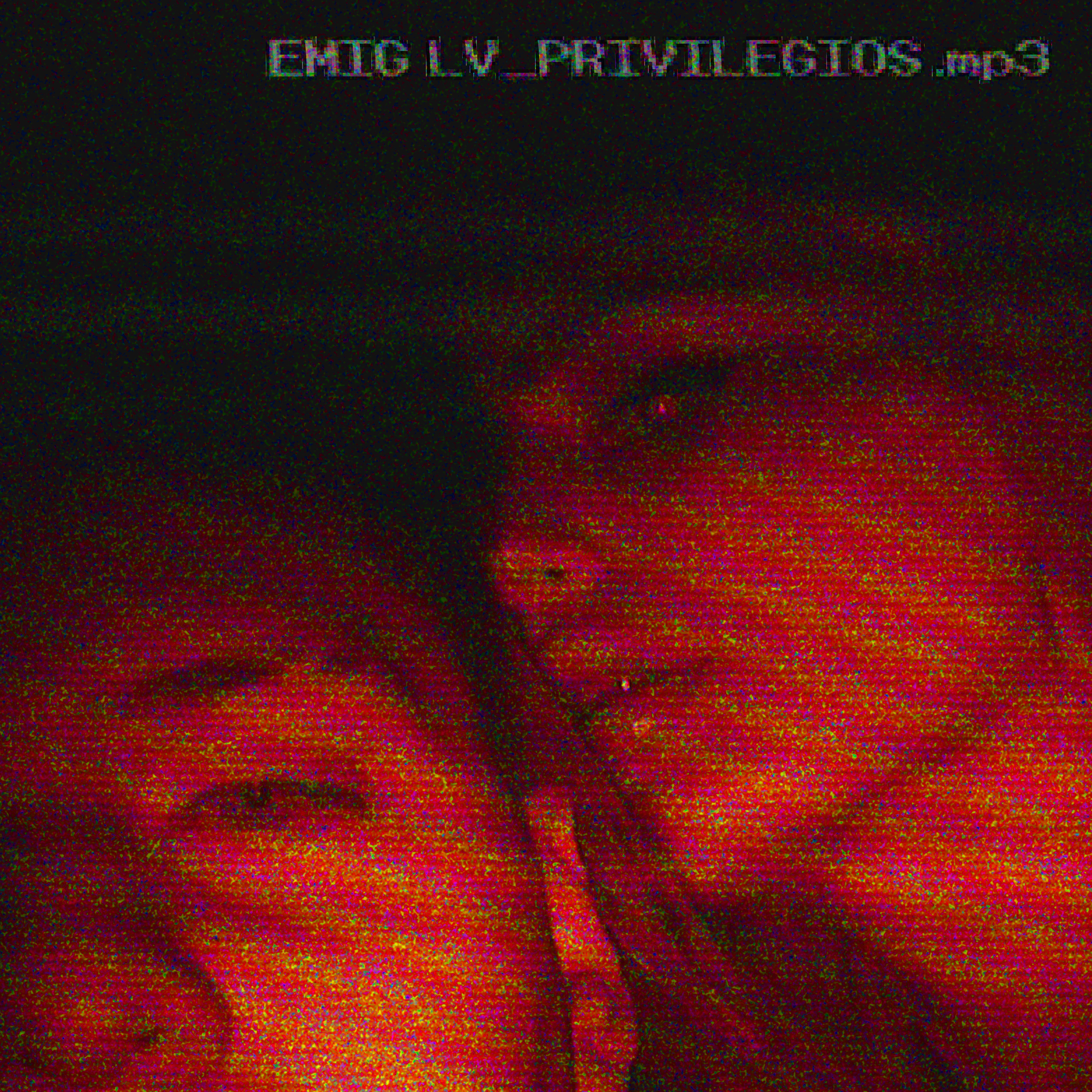 PRIVILEGIOS 2.0 artwork
