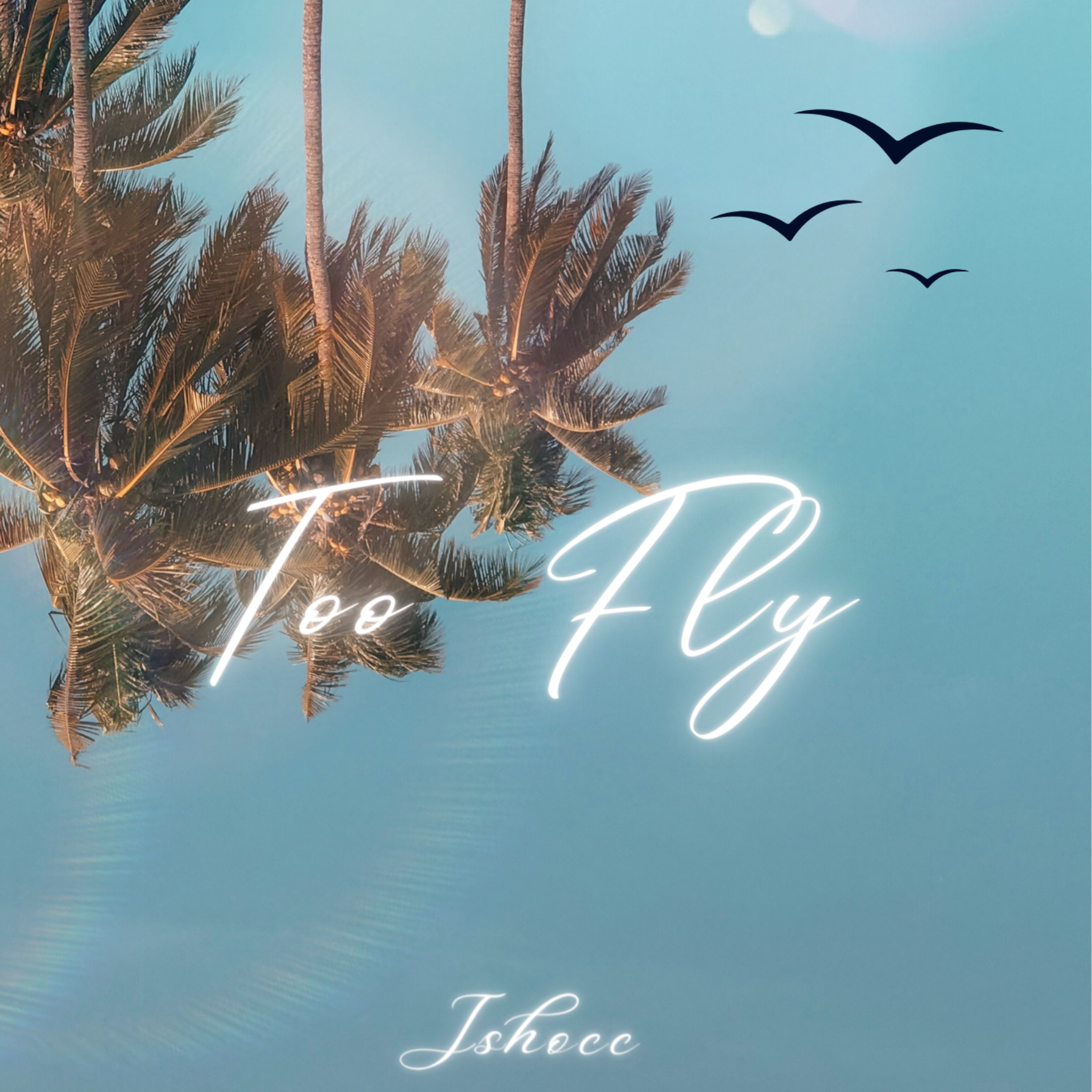 Too Fly artwork