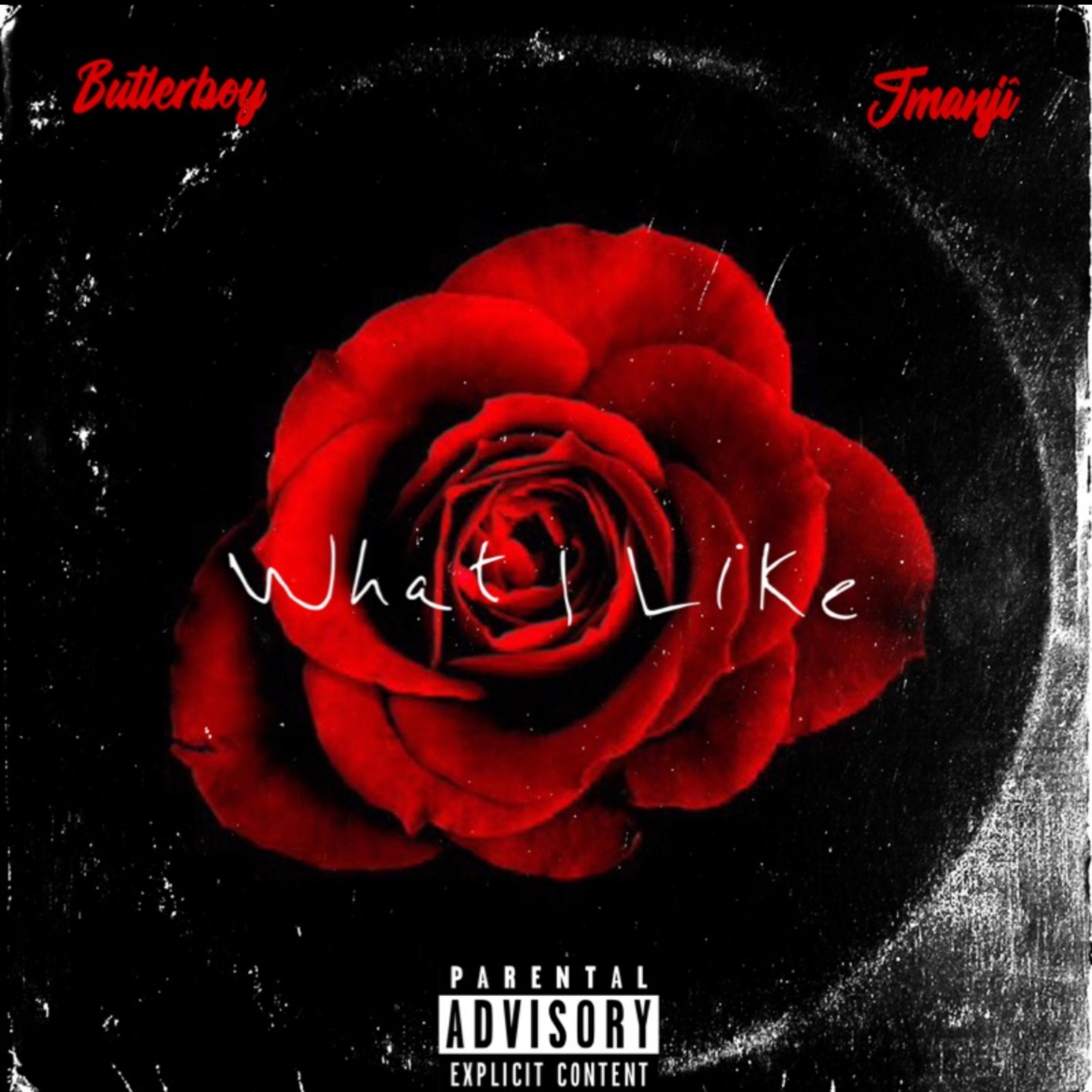What I Like artwork