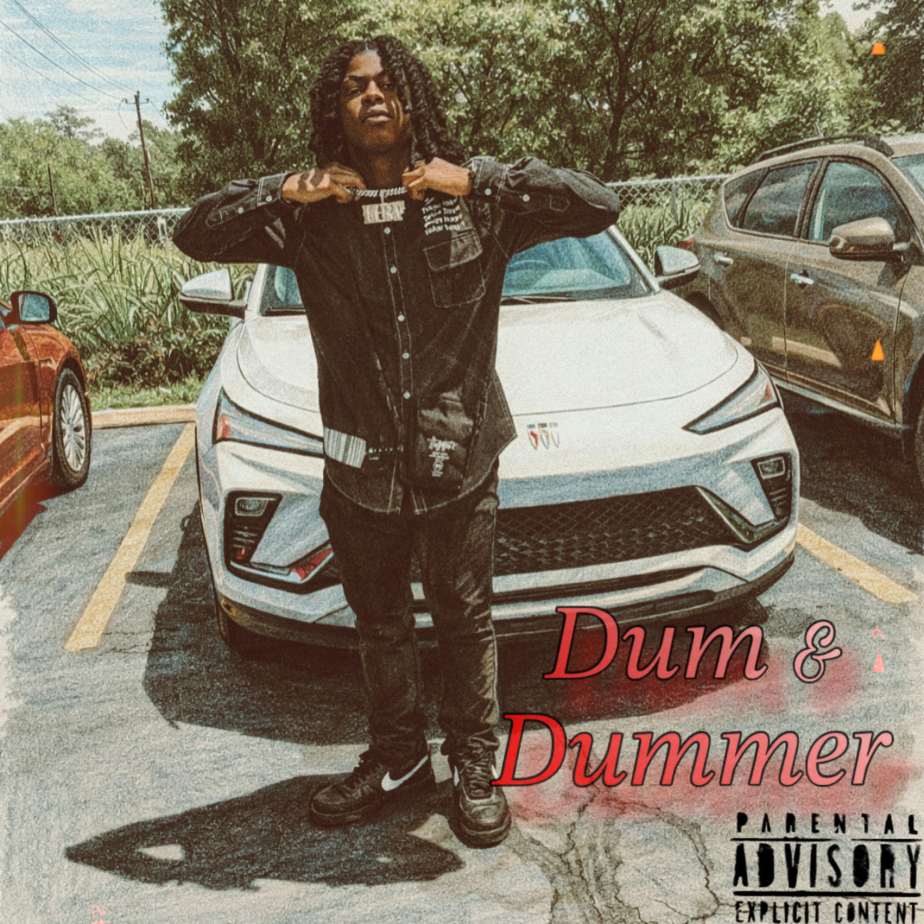 Dum & Dummer artwork