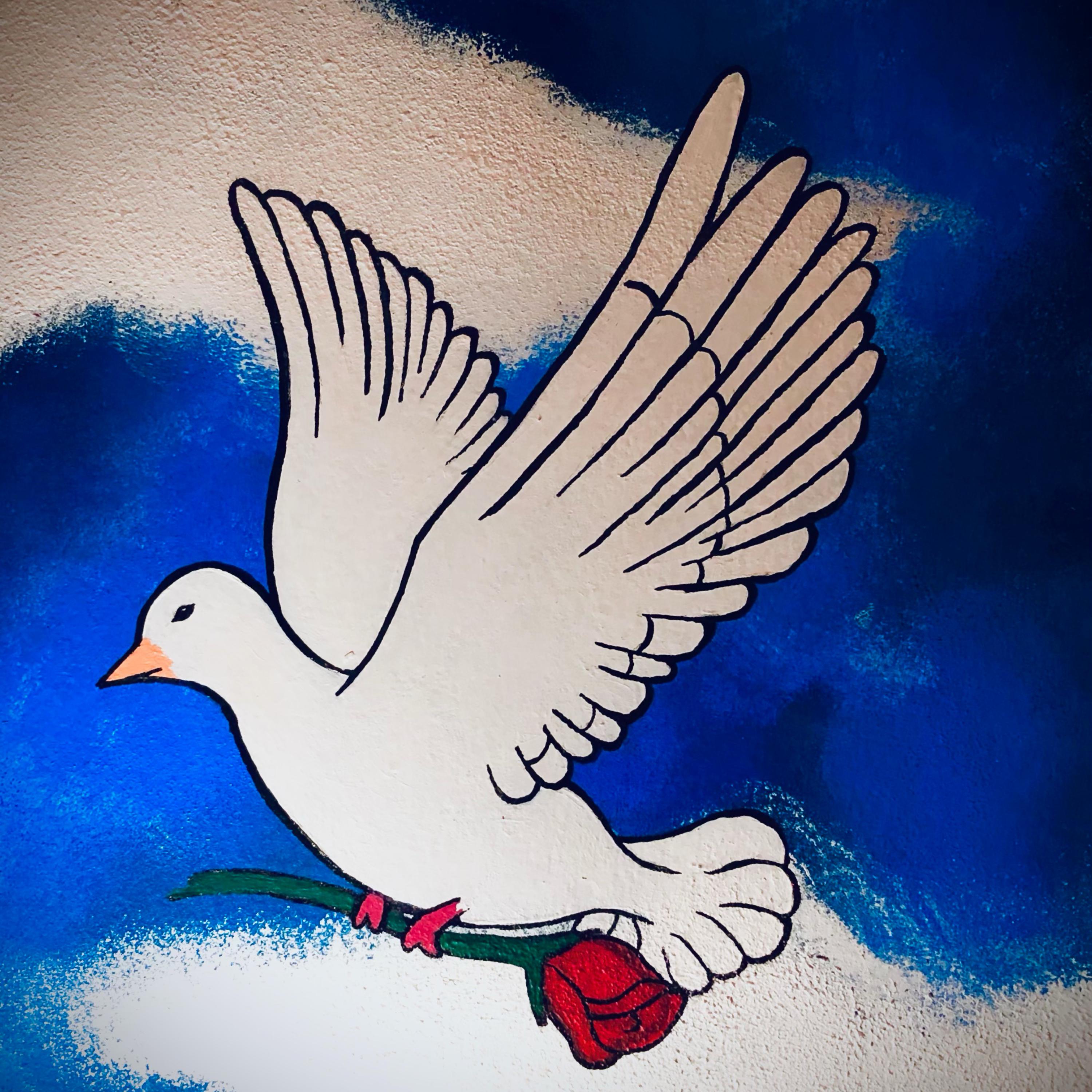 A Dove's Sky artwork