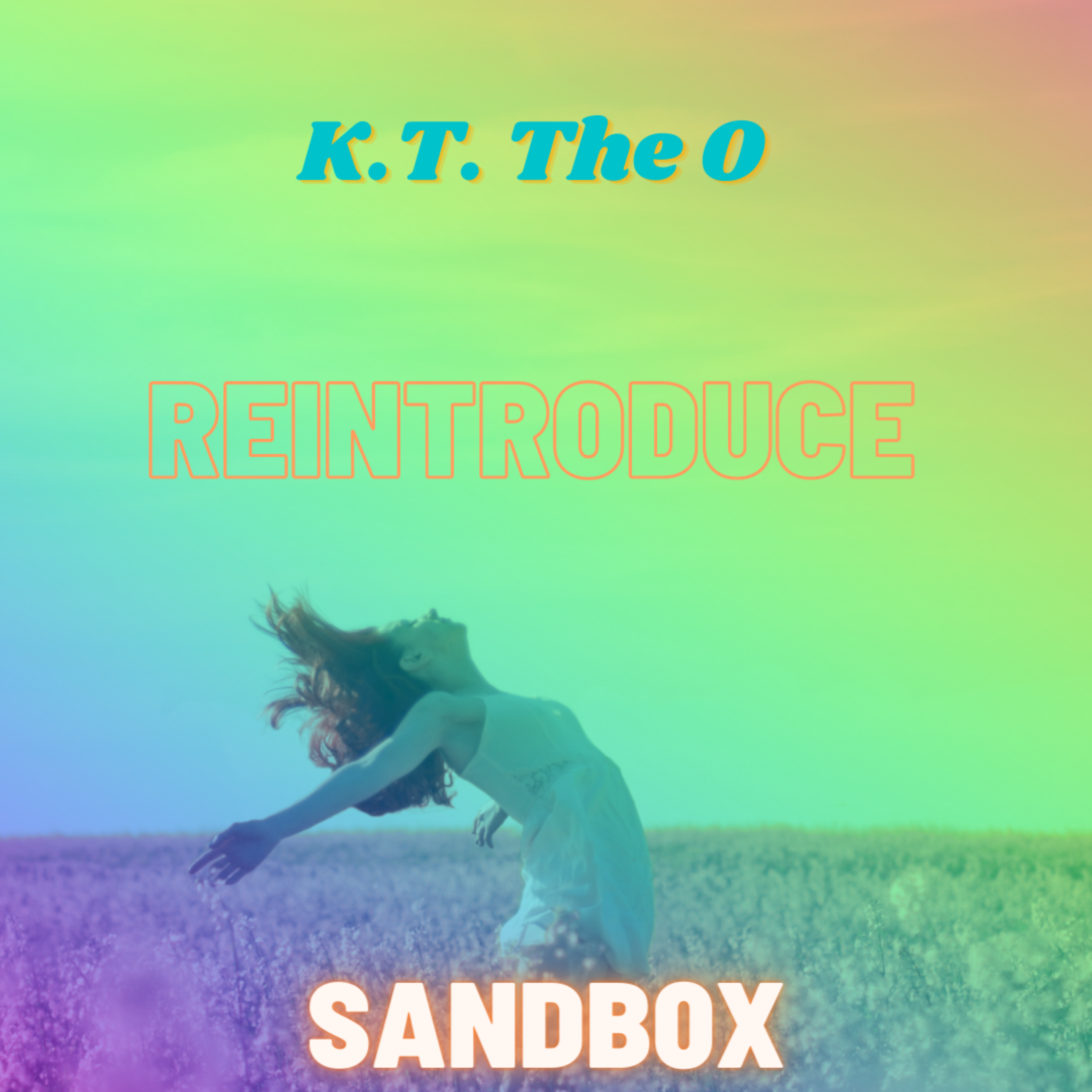 Reintroduce by K.T. The O cover art