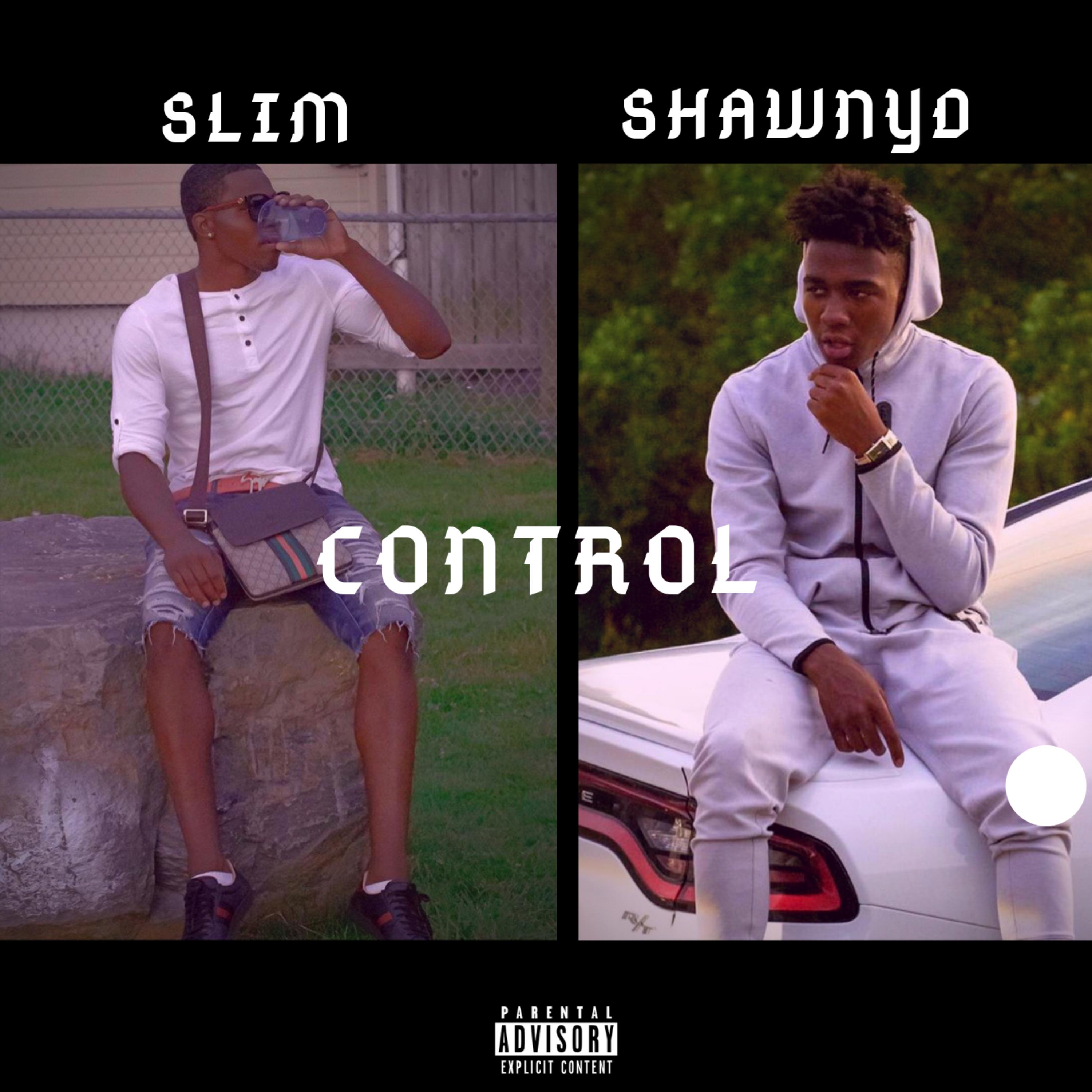 Control artwork