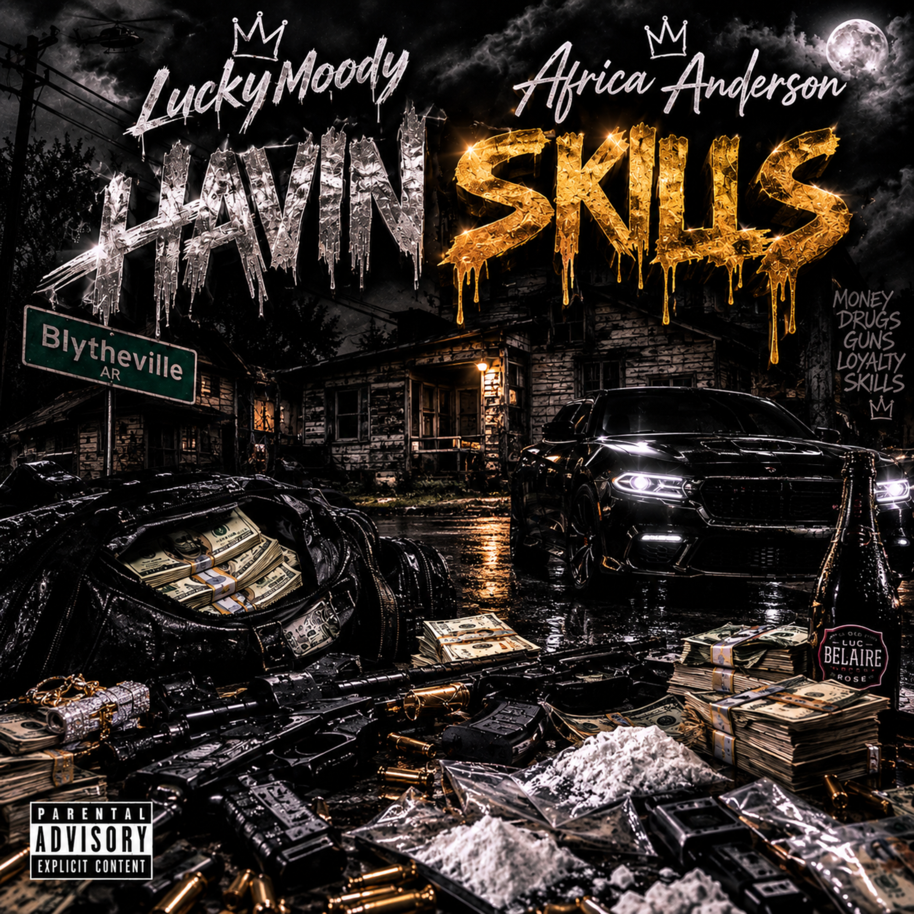 HAVIN SKILLS by Africa Anderson cover art