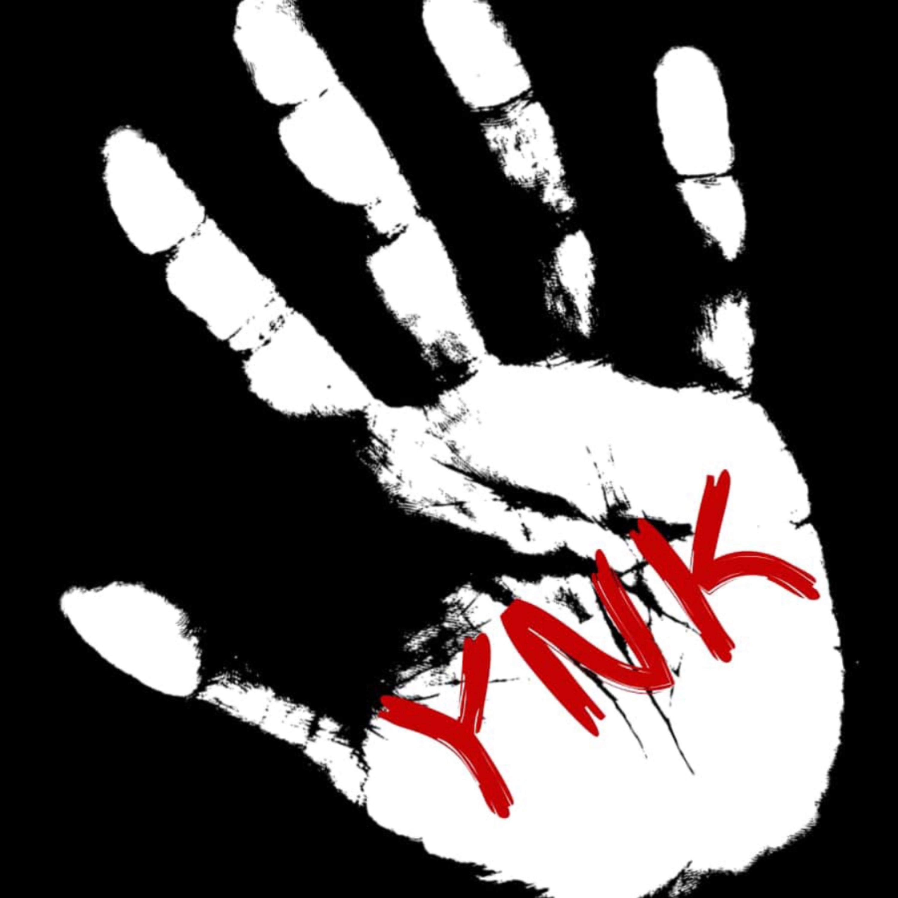 YNK ANTHEM artwork
