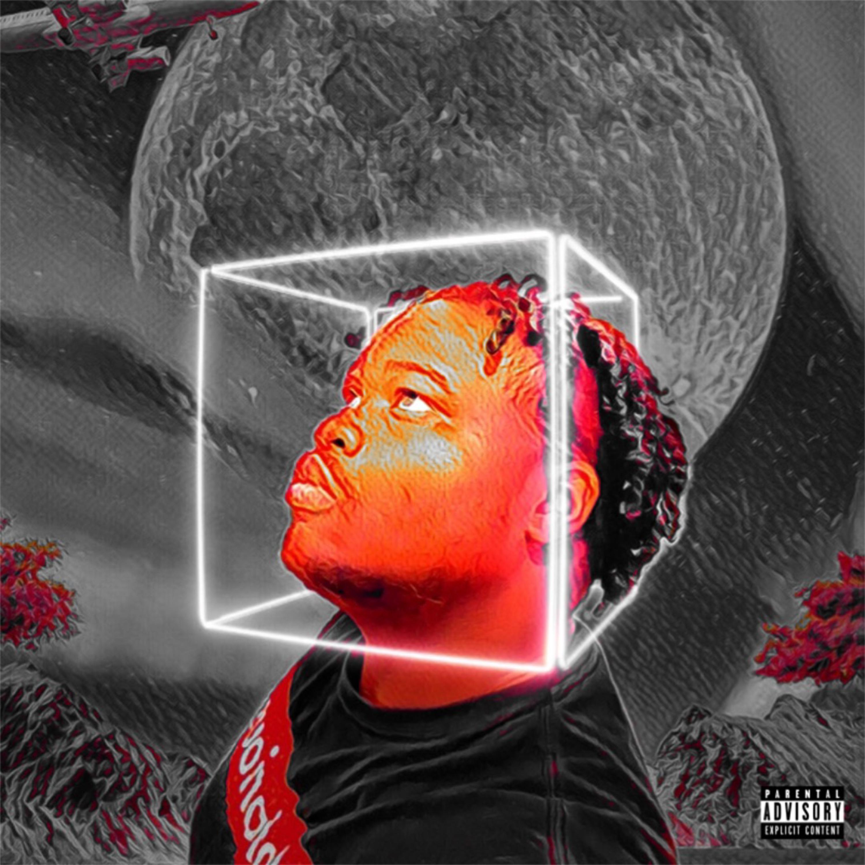 Cozi artwork