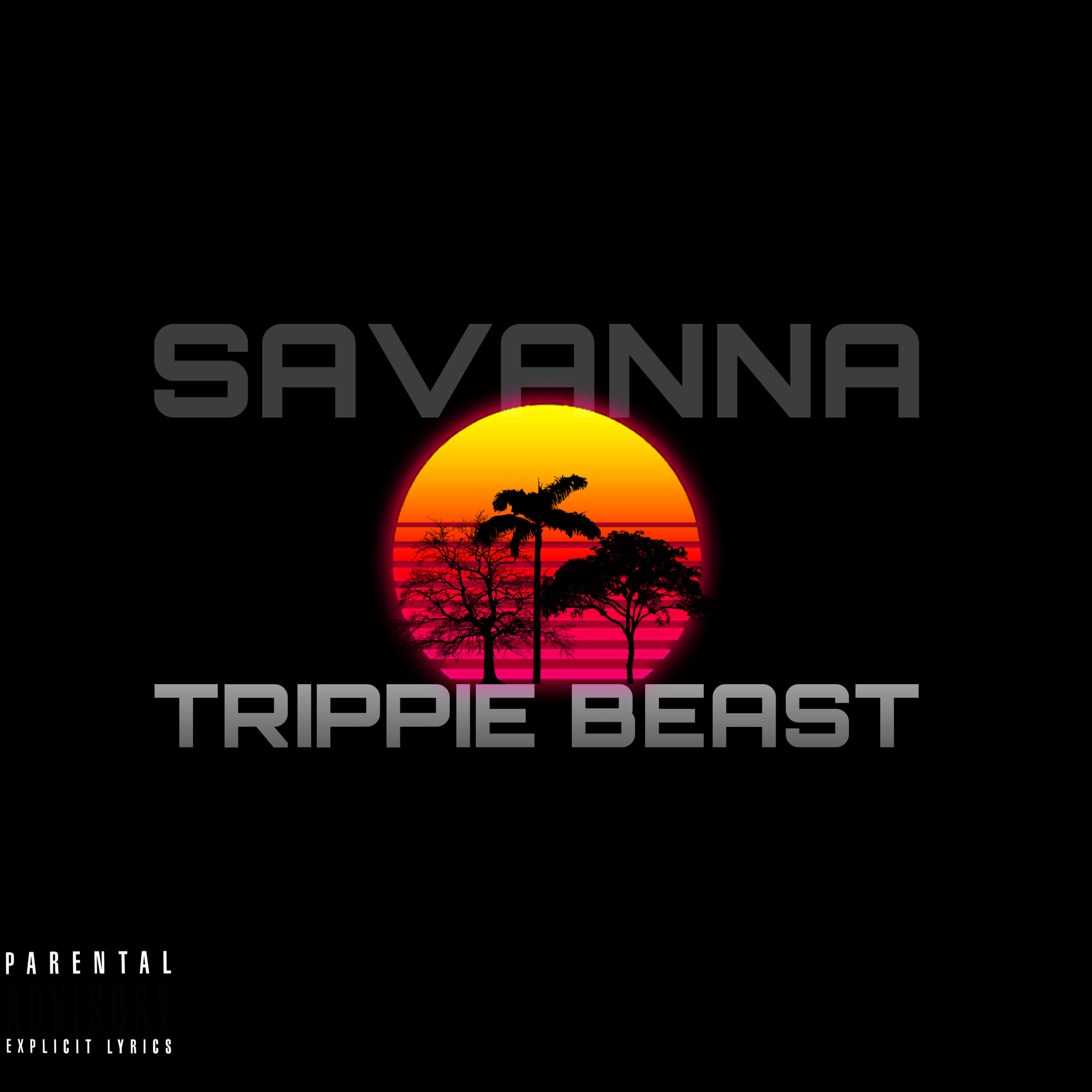 SAVANNA artwork