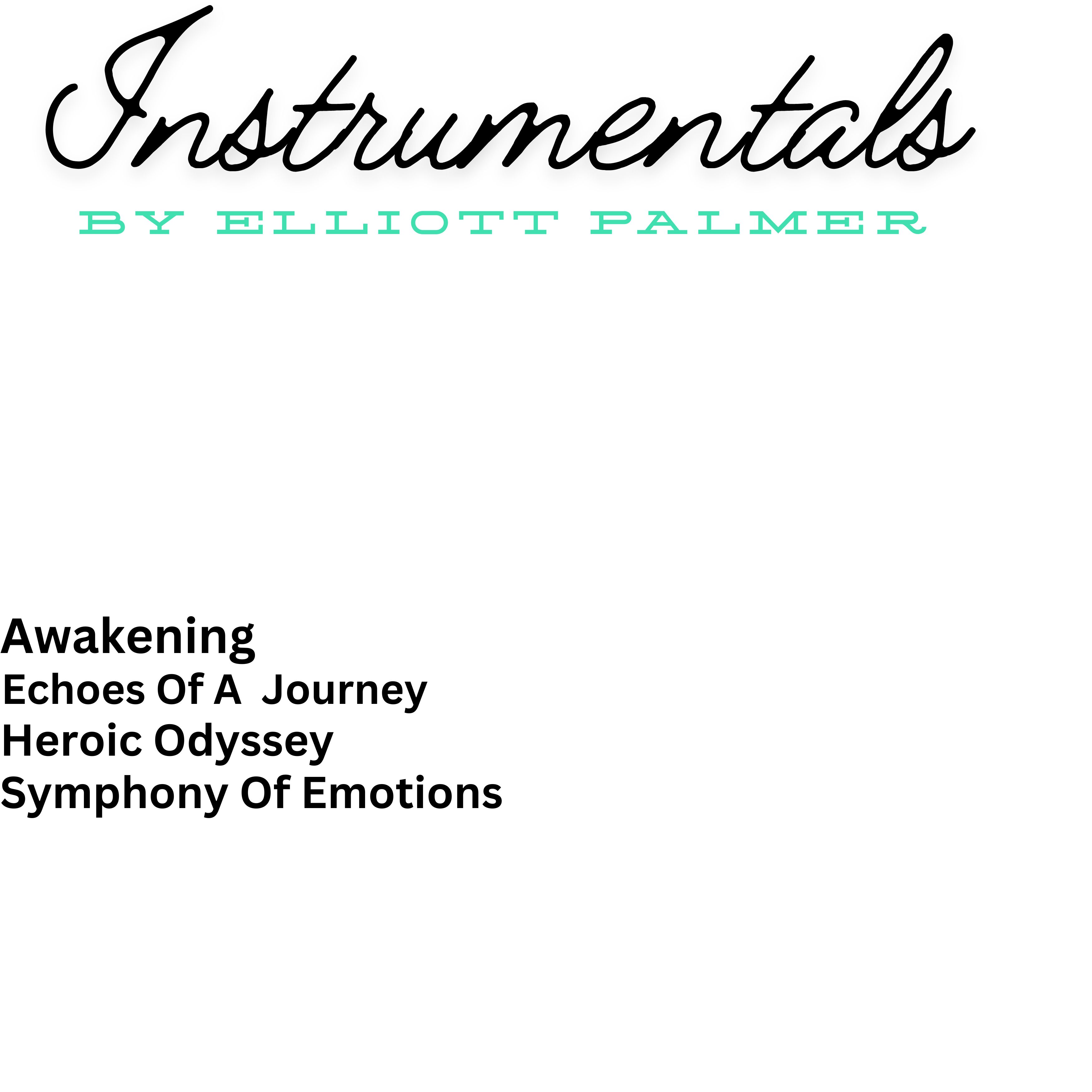 Instrumentals artwork