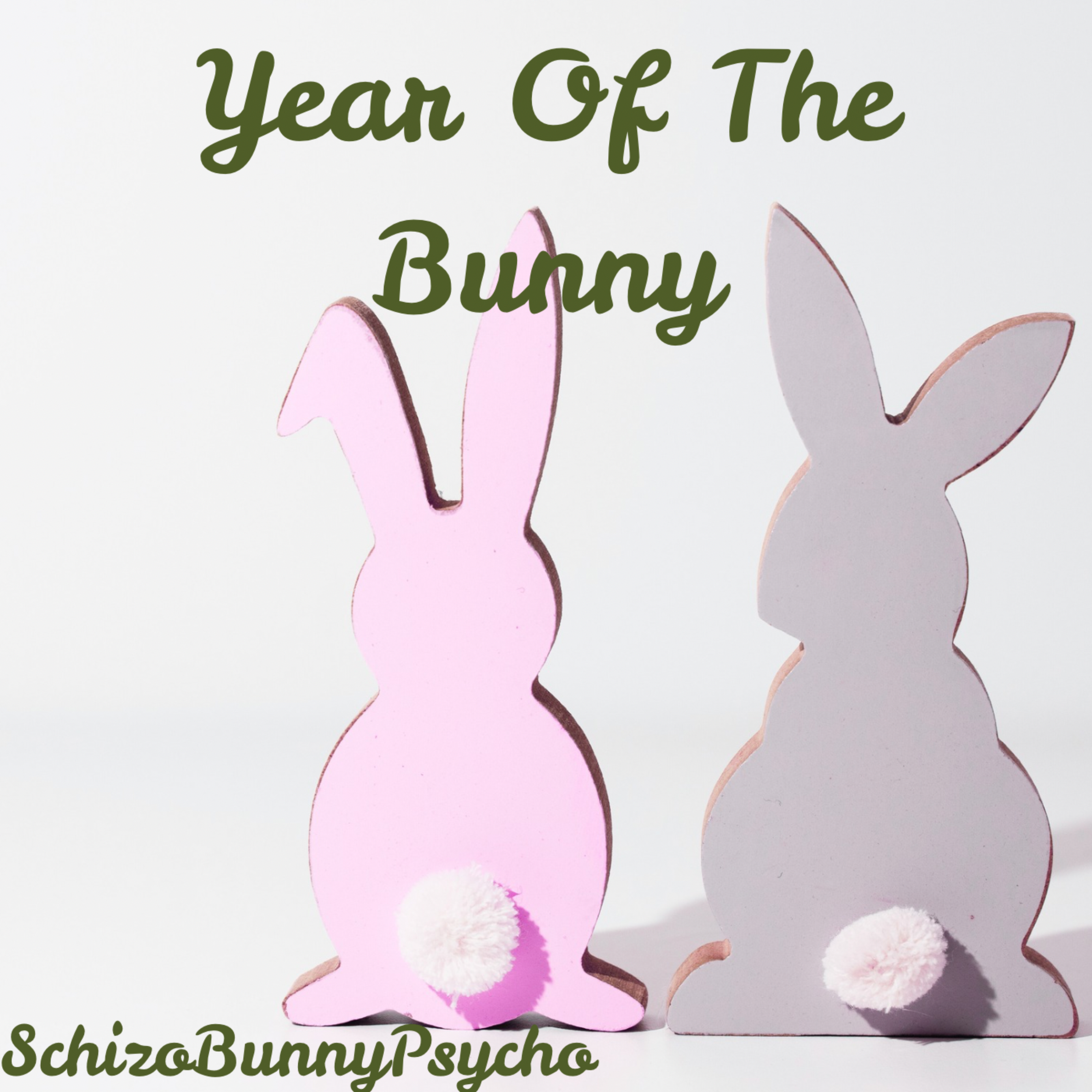 Year Of The Bunny artwork