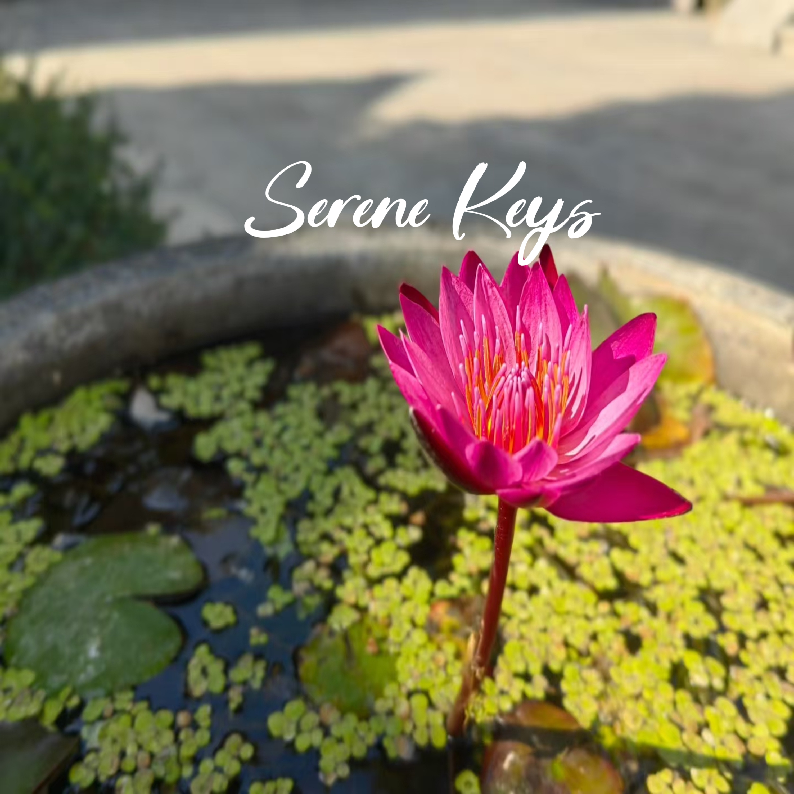 Serene Keys artwork