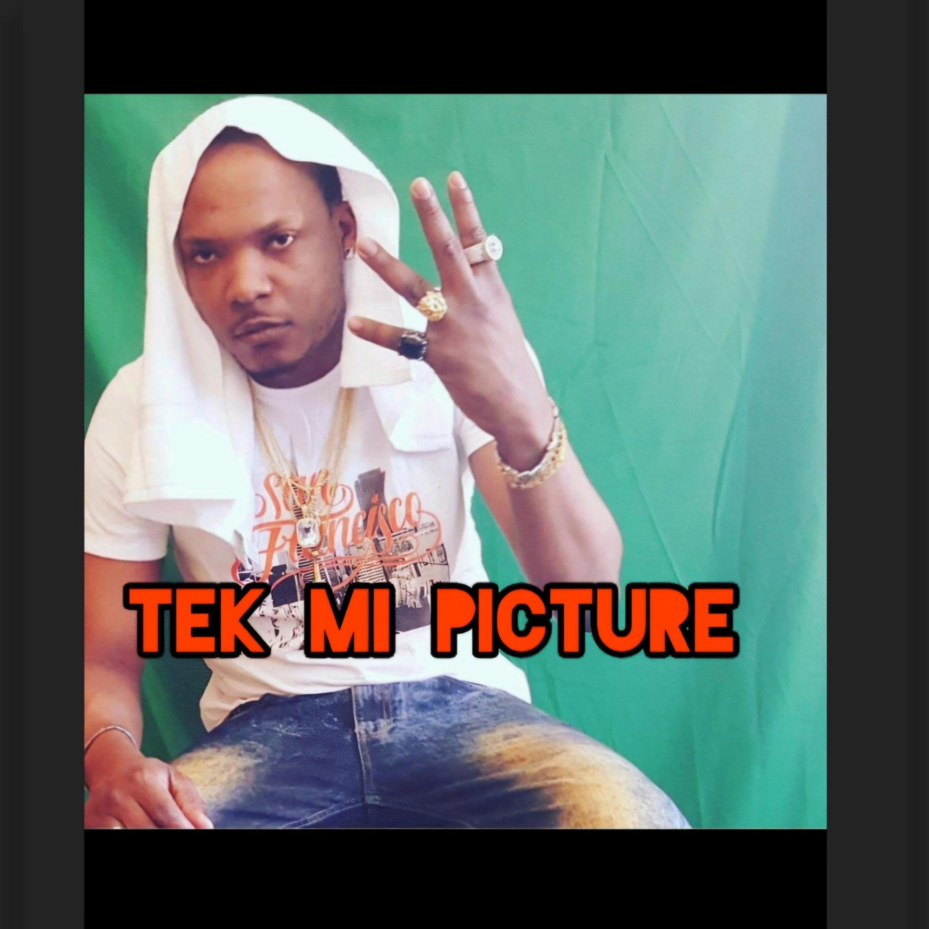 Tek Mi Picture artwork