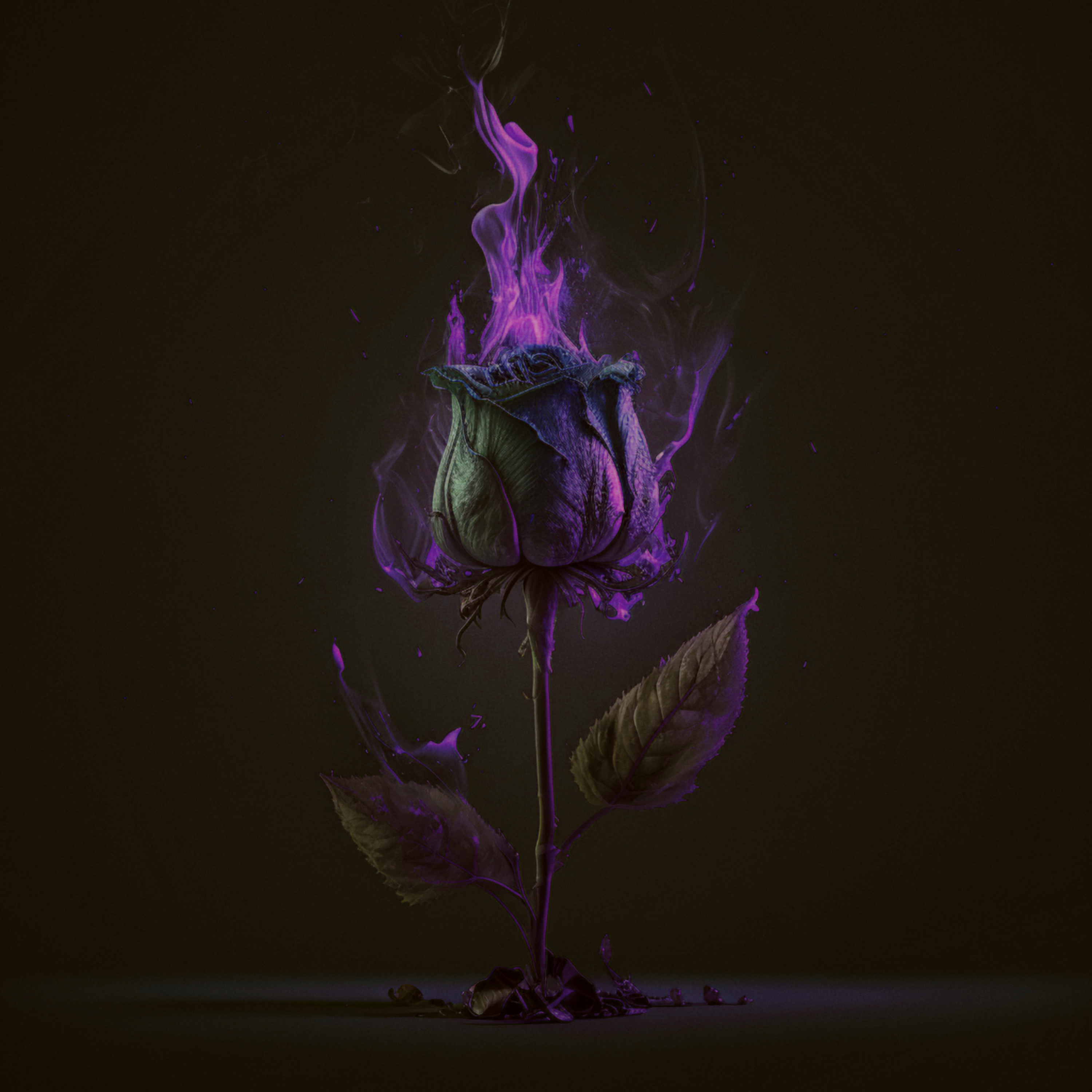 Same Page artwork