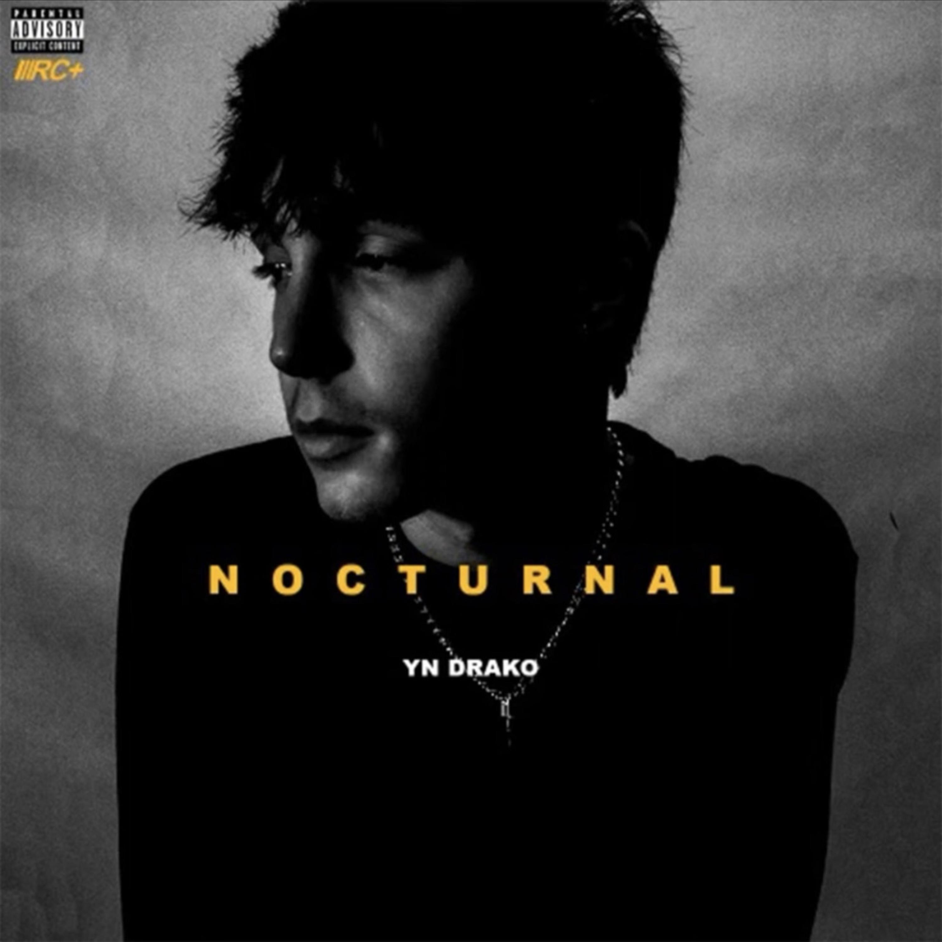 NOCTURNAL artwork