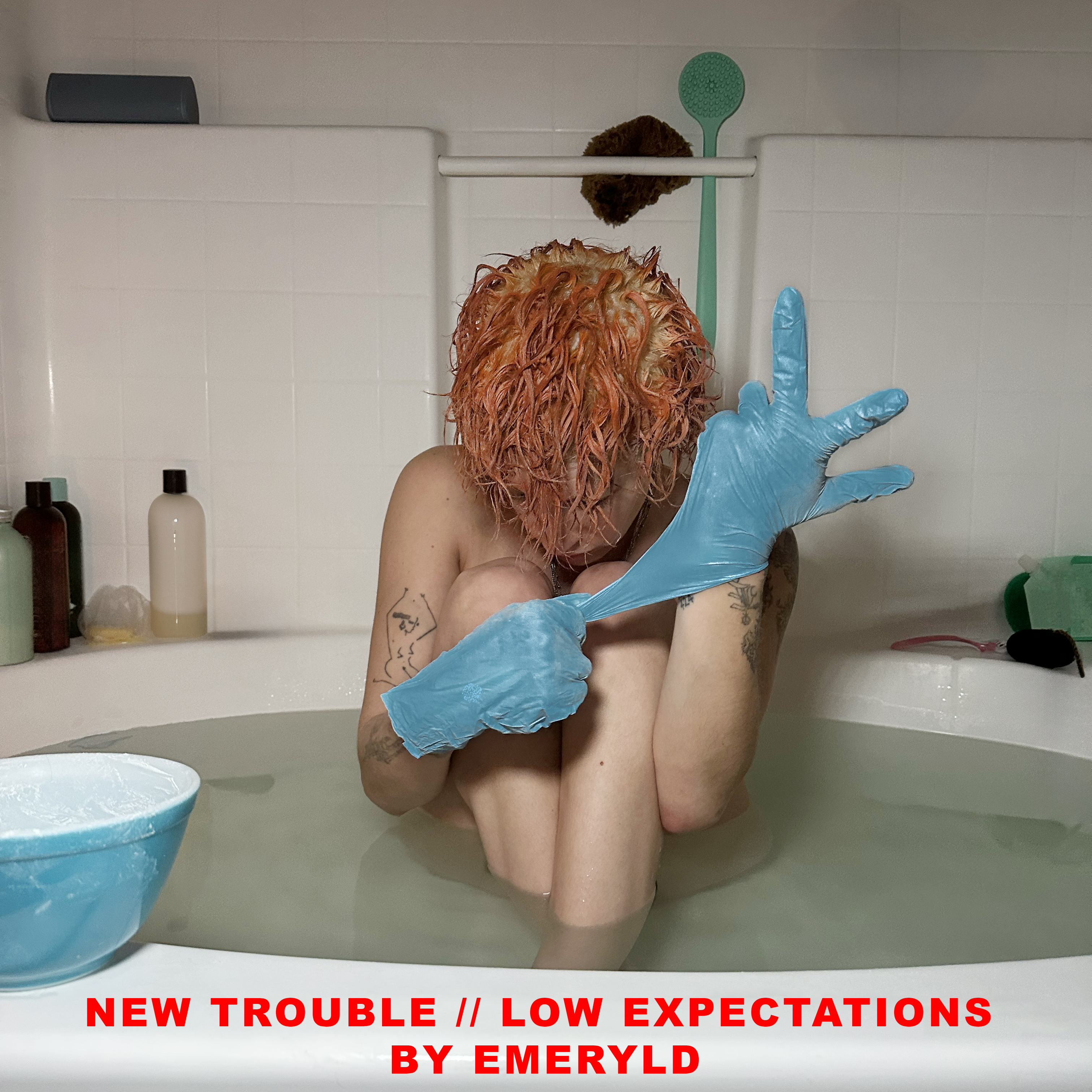New Trouble // Low Expectations by Emeryld cover art
