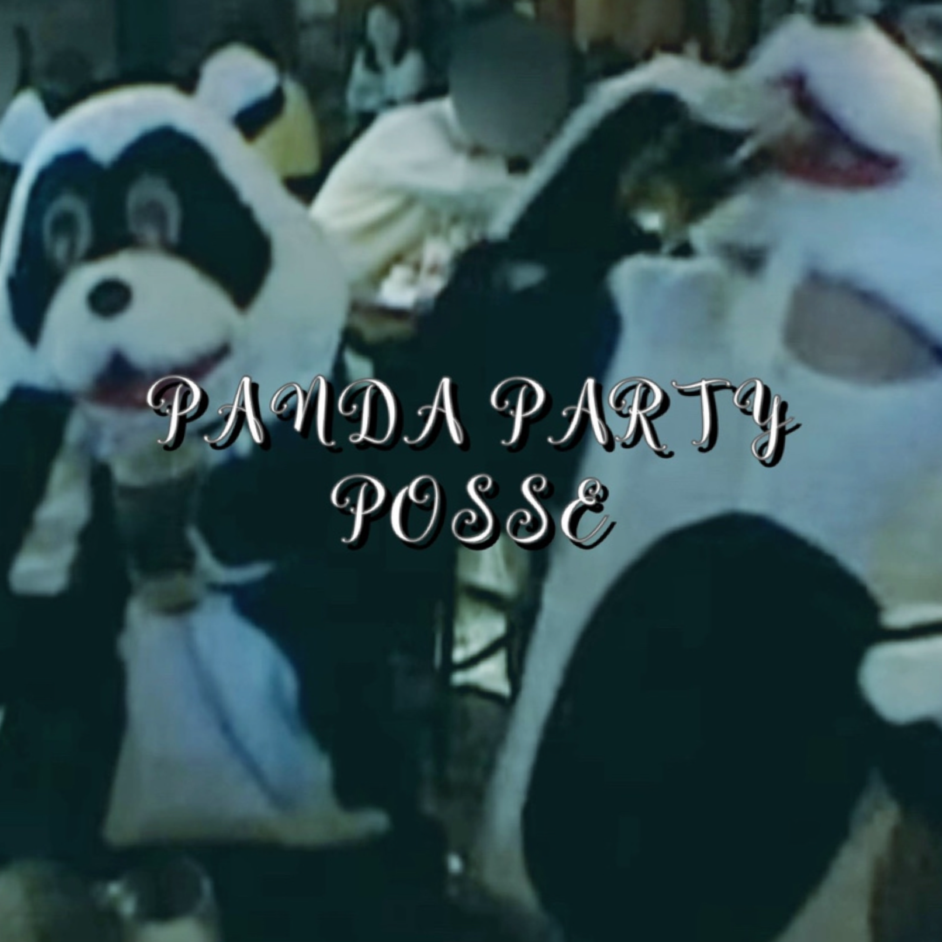Panda Party Posse artwork