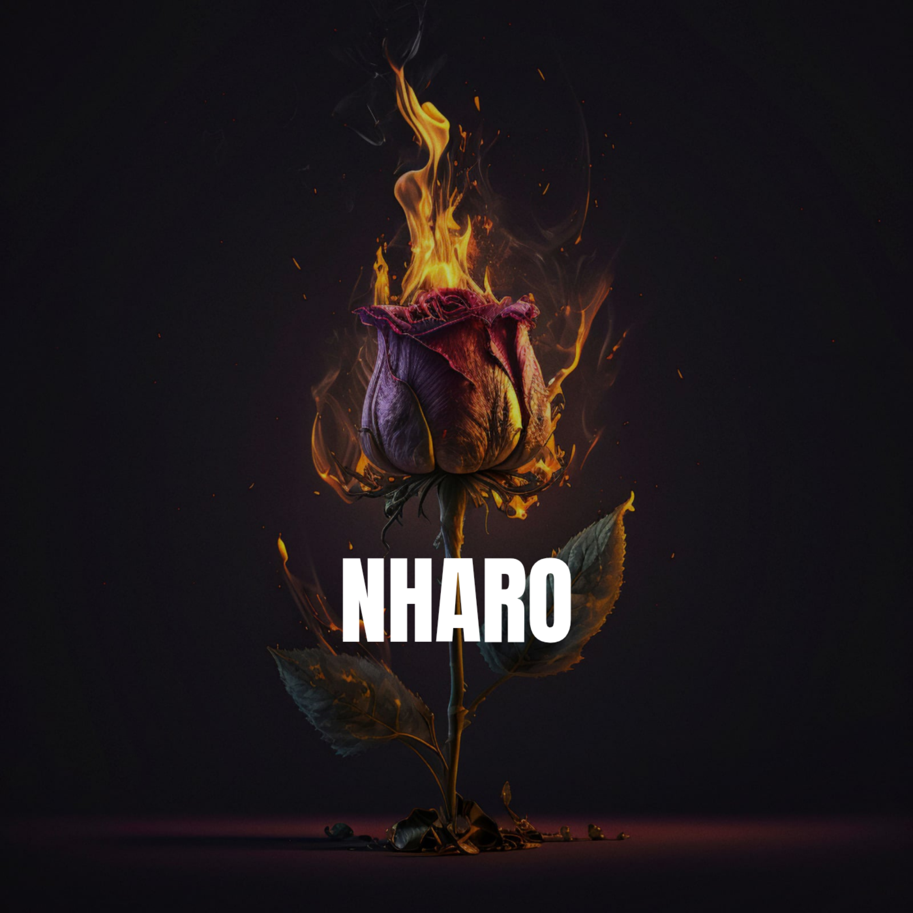 NHARO artwork