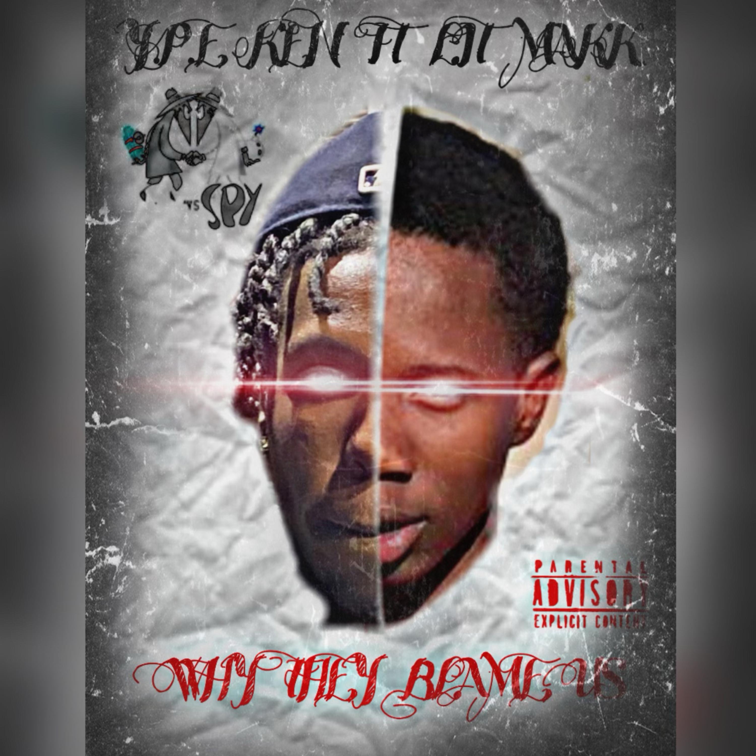 Why They Blame Us artwork