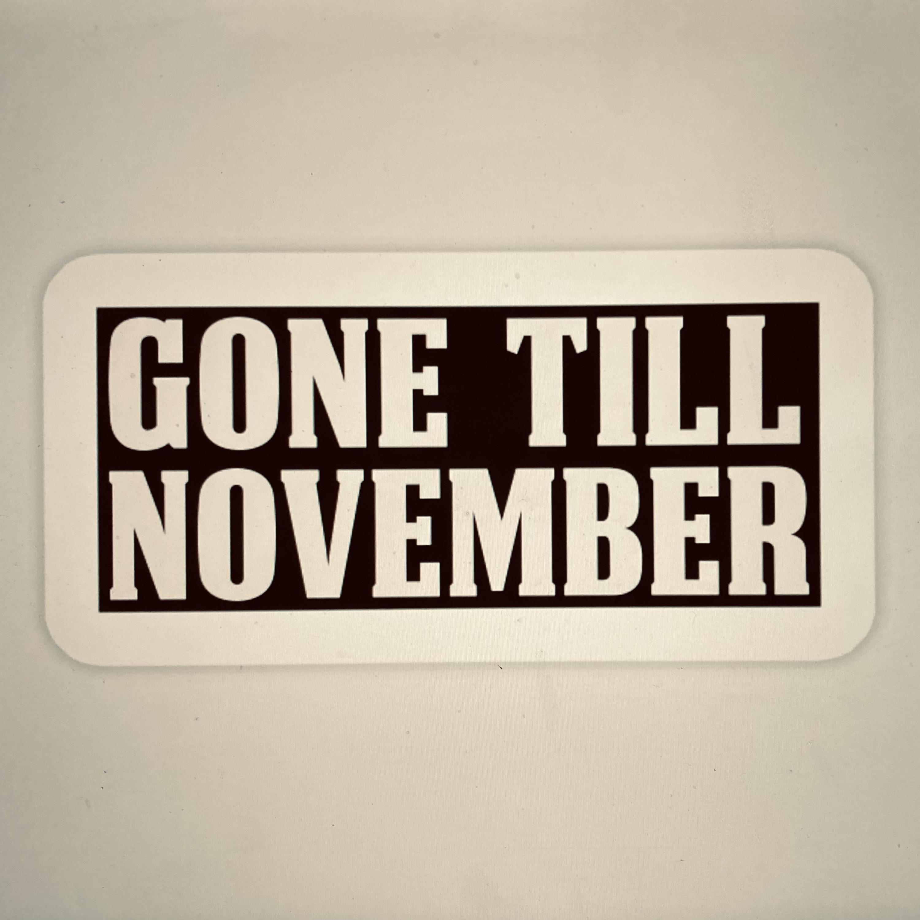 Gone Till November artwork