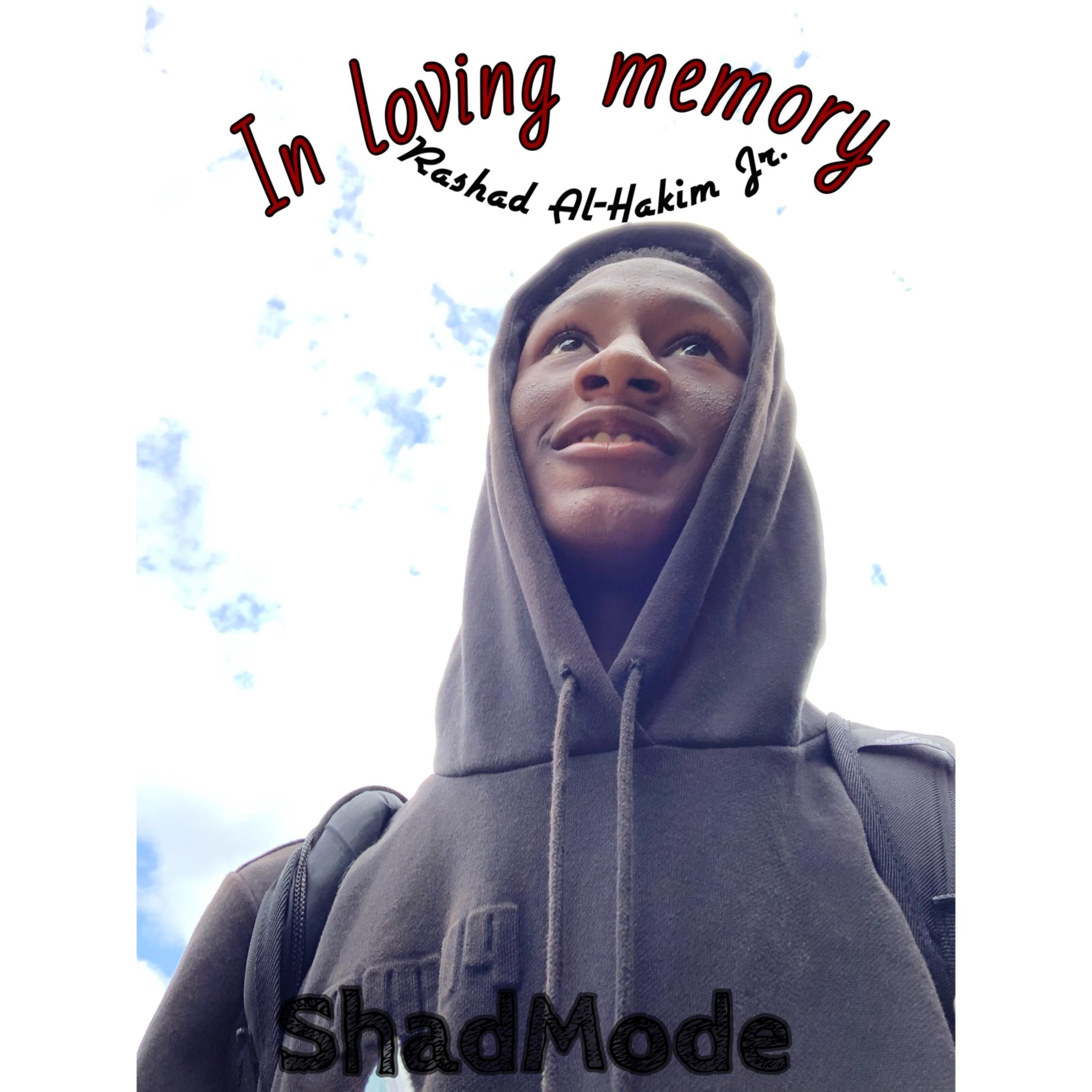Shad Mode artwork