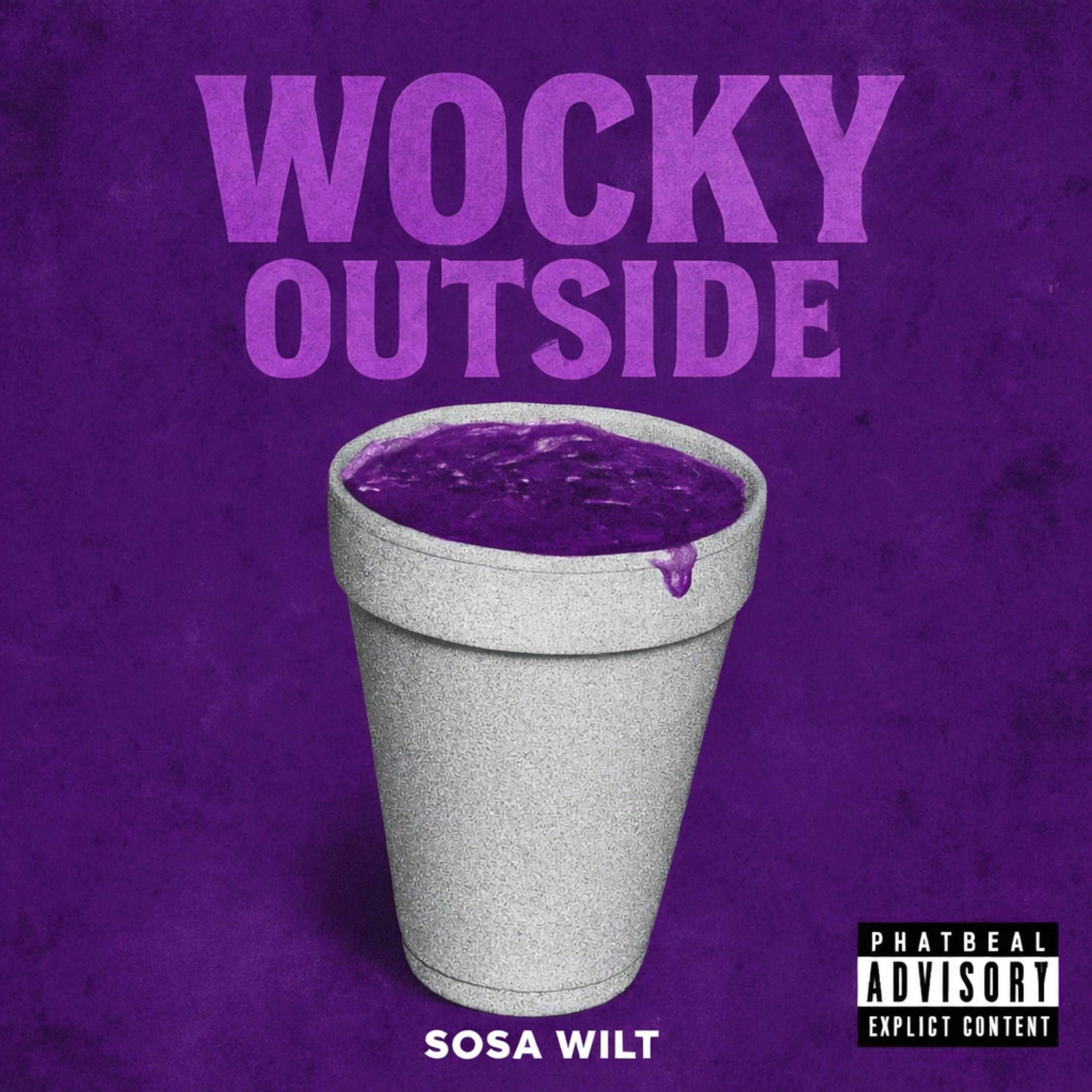 Wocky Outside (2) artwork
