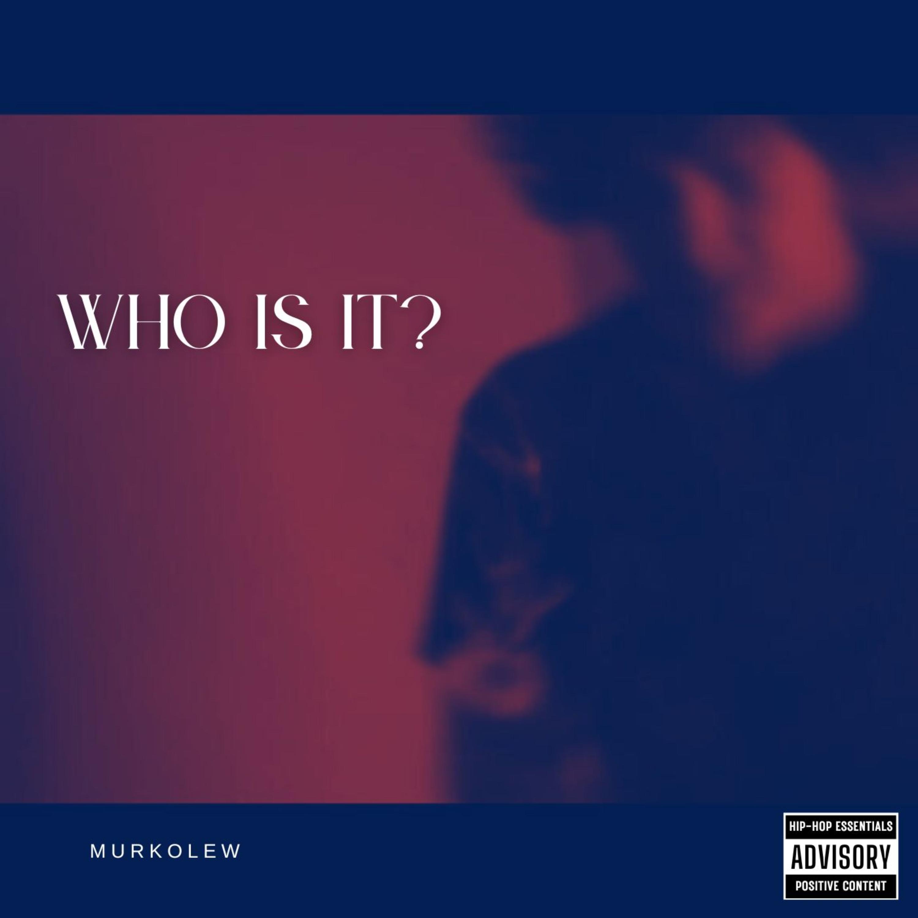 WHO IS IT? artwork